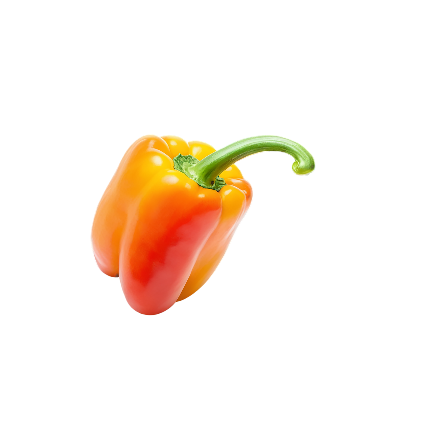 Bell pepper vegetables isolated on transparent background #10604