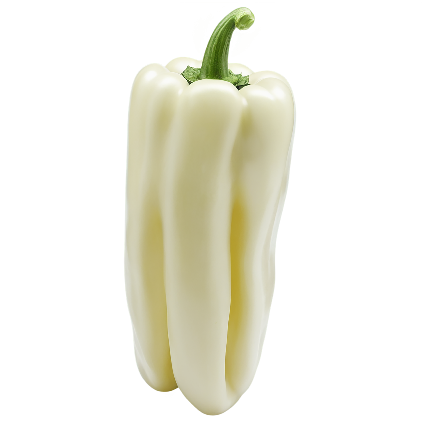 Bell pepper vegetables isolated on transparent background #10608