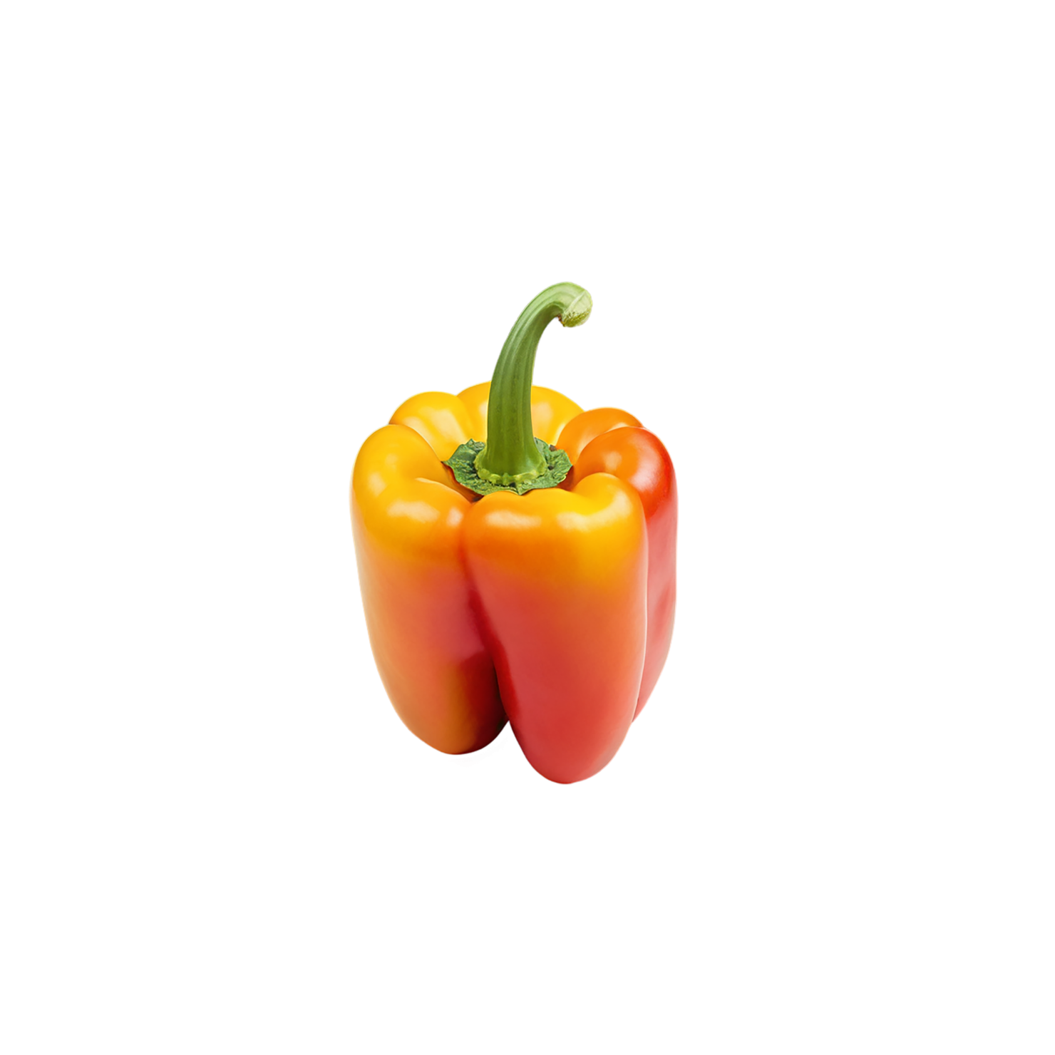 Bell pepper vegetables isolated on transparent background #10611