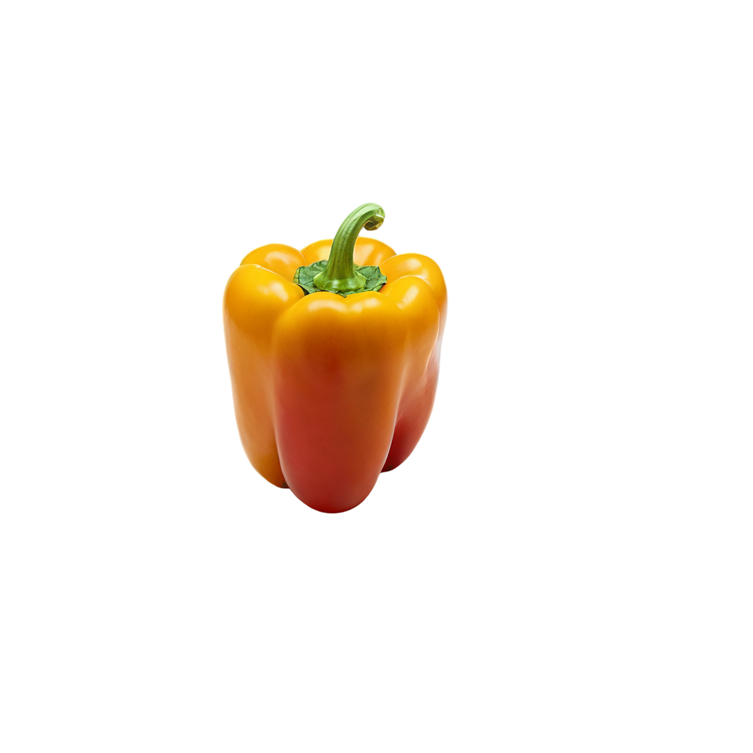 Bell pepper vegetables isolated on transparent background #10629