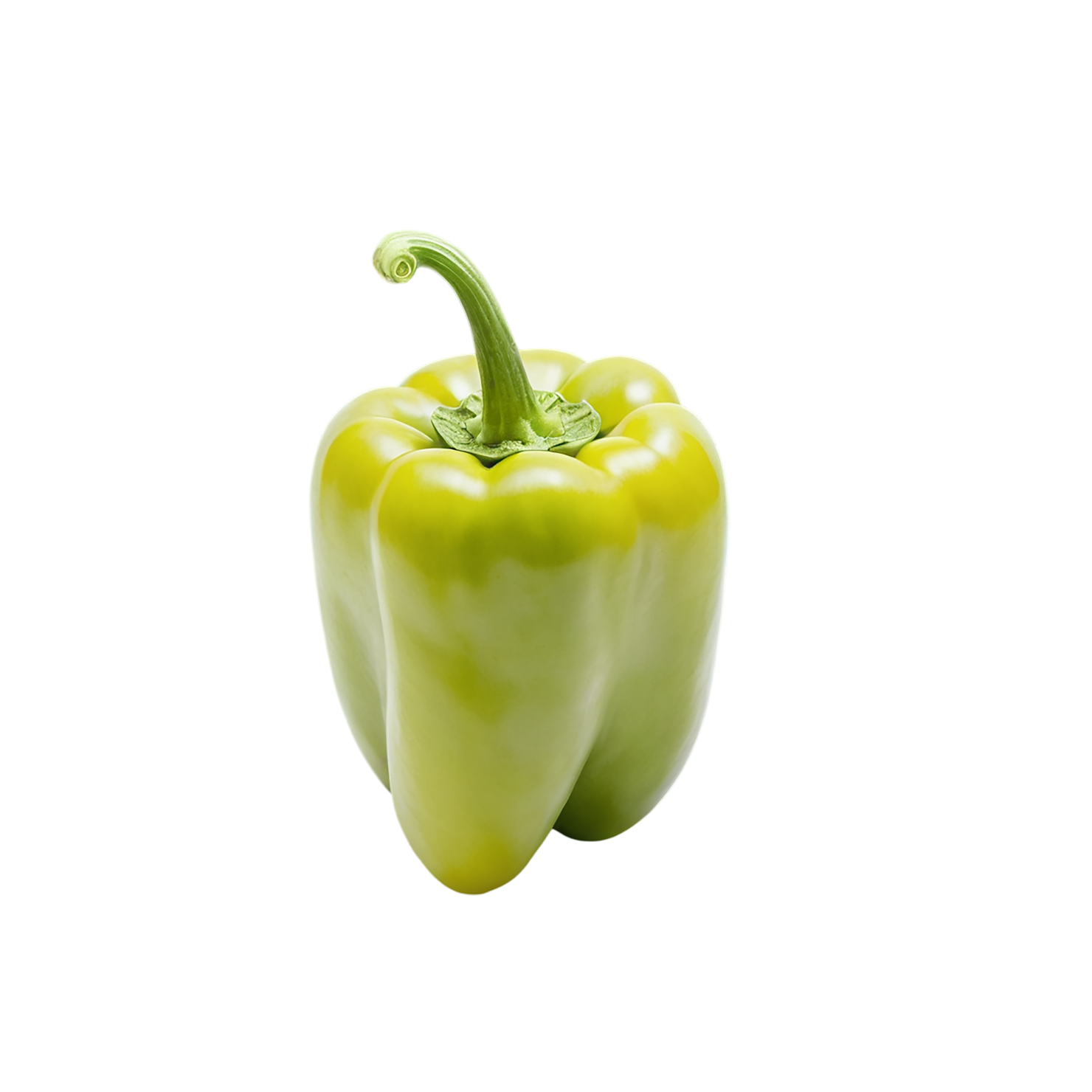 Bell pepper vegetables isolated on transparent background #10653