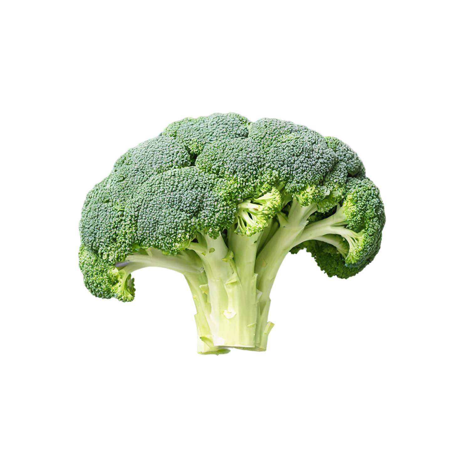 Broccoli vegetables isolated on transparent background #10665