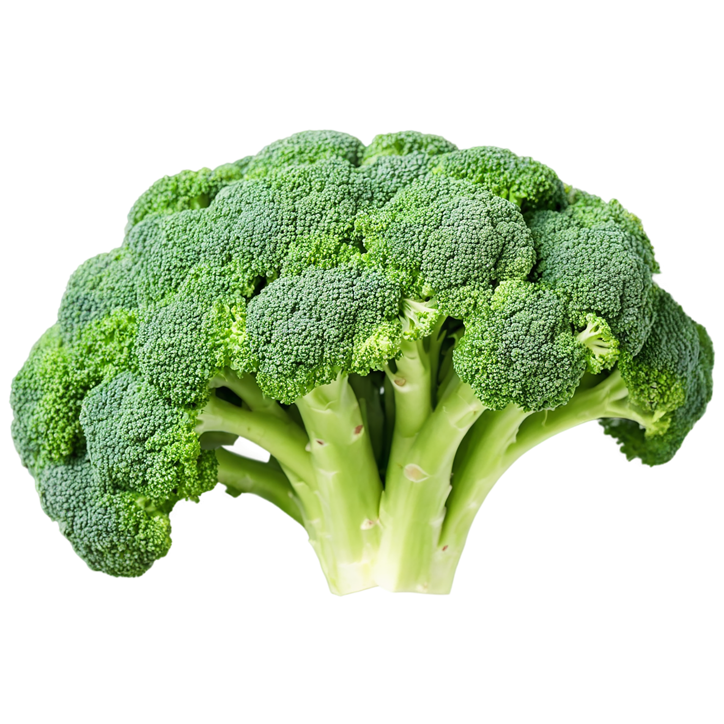 Broccoli vegetables isolated on transparent background #10681
