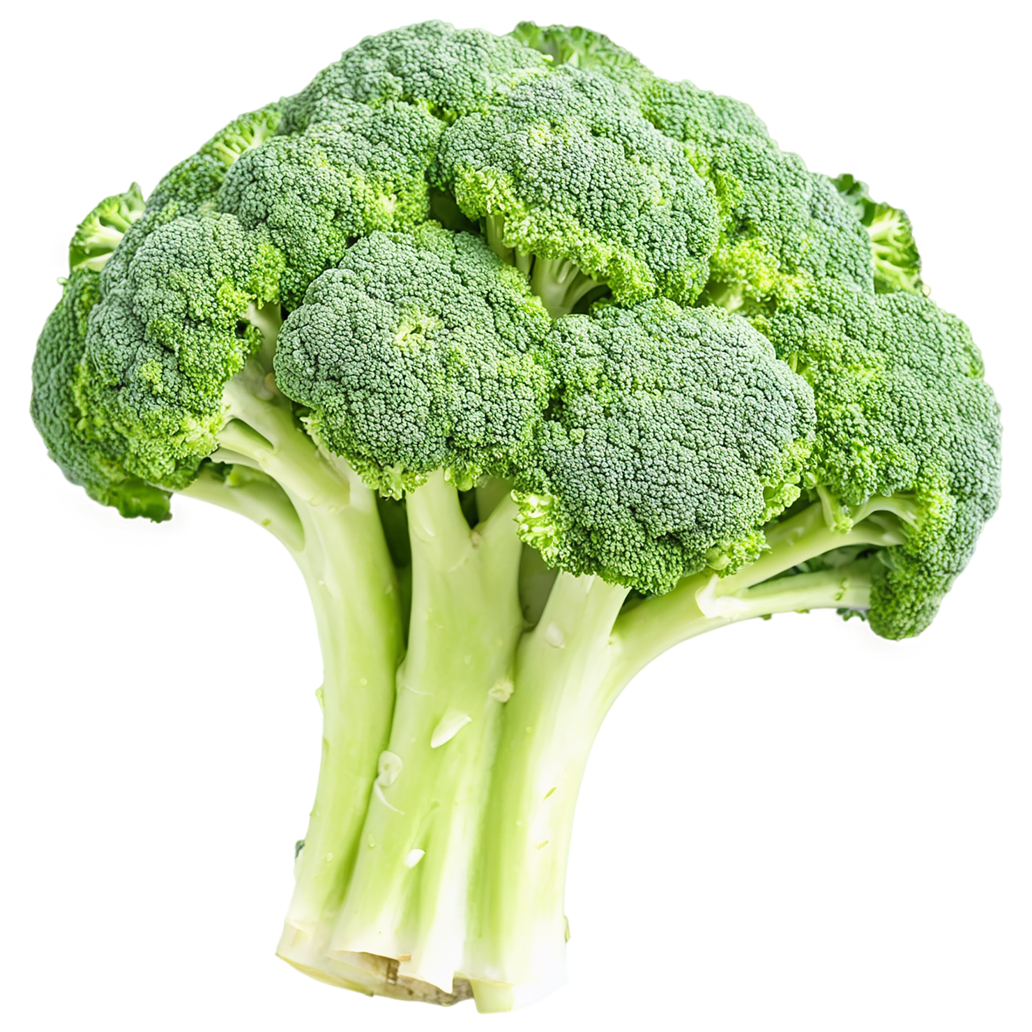 Broccoli vegetables isolated on transparent background #10682