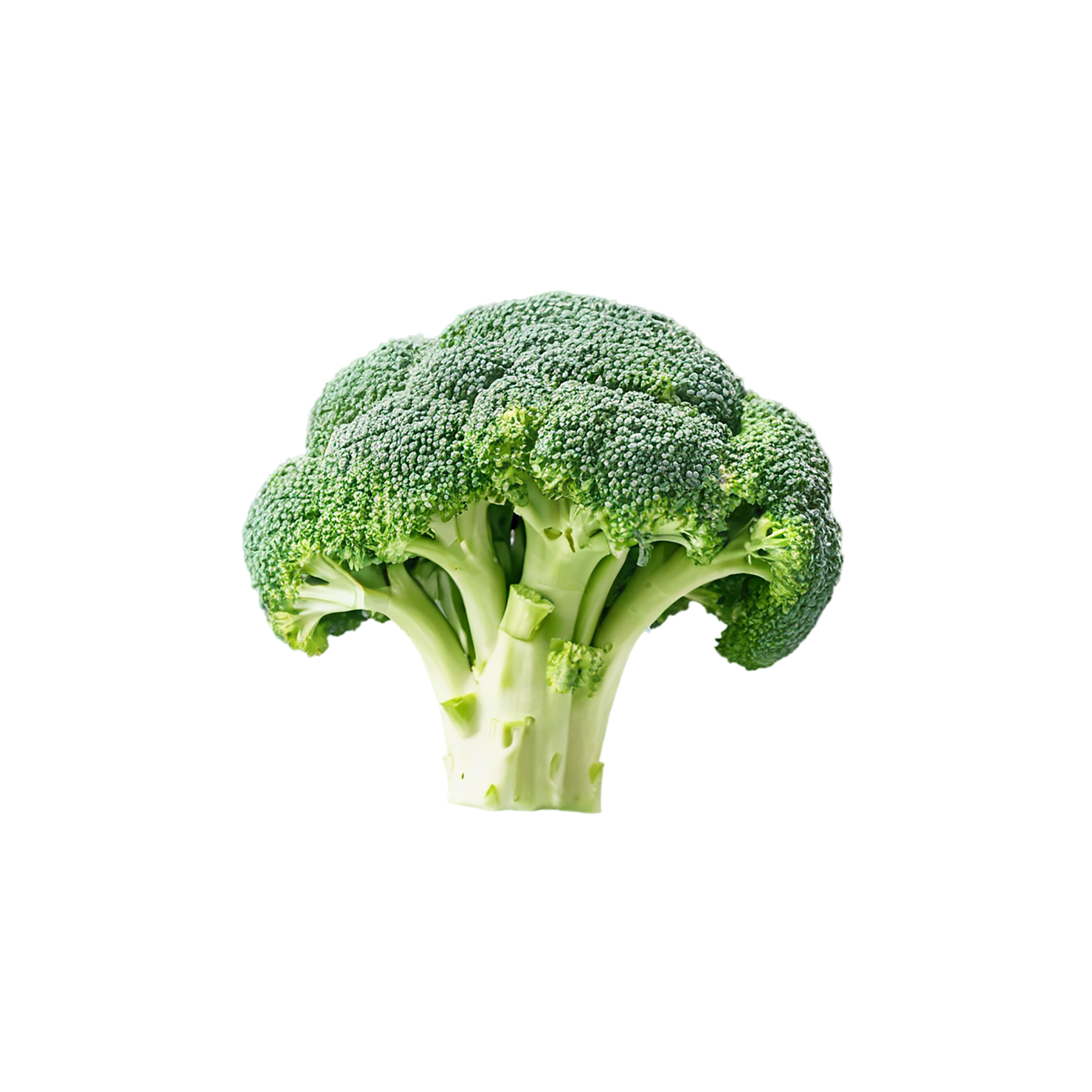 Broccoli vegetables isolated on transparent background #10691