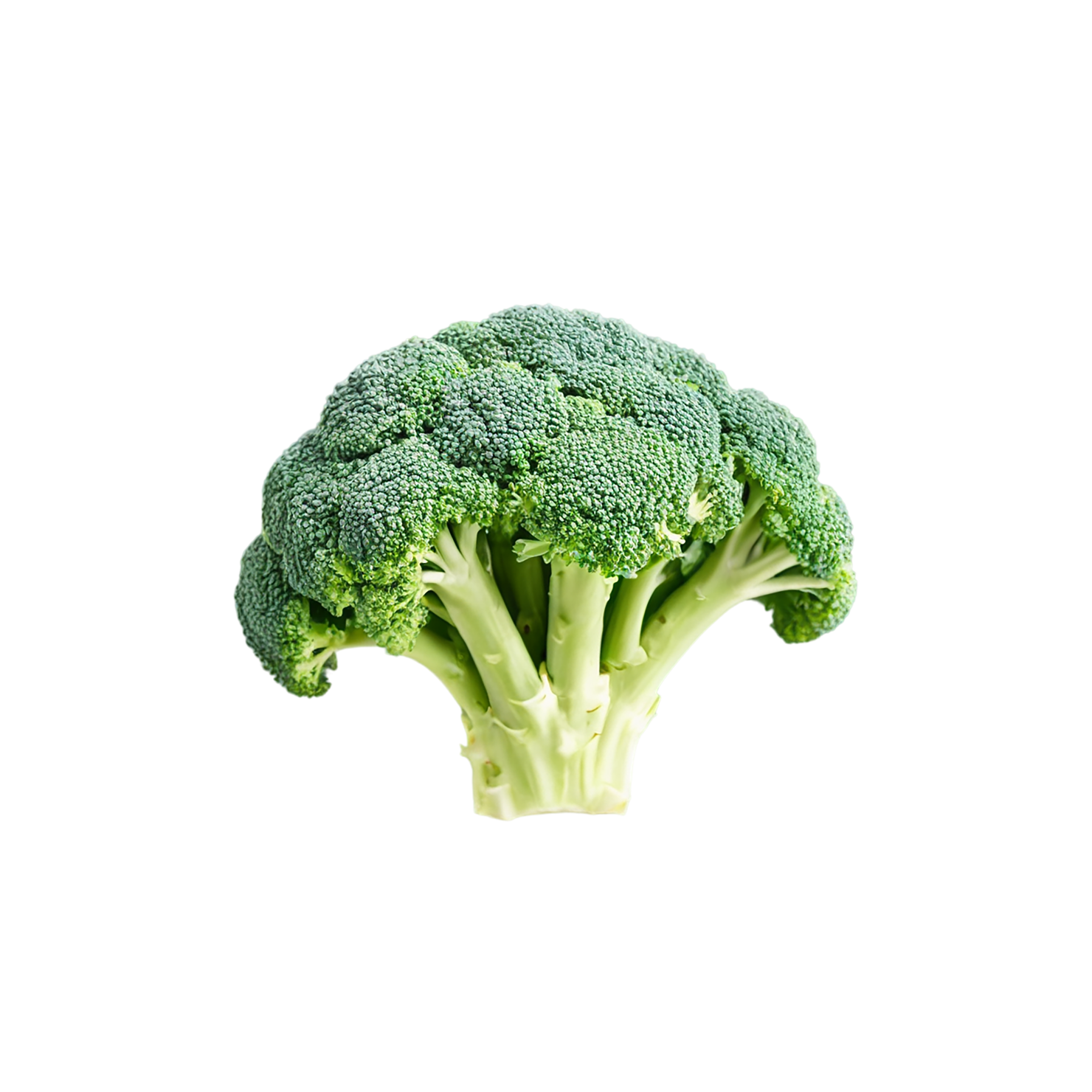 Broccoli vegetables isolated on transparent background #10692