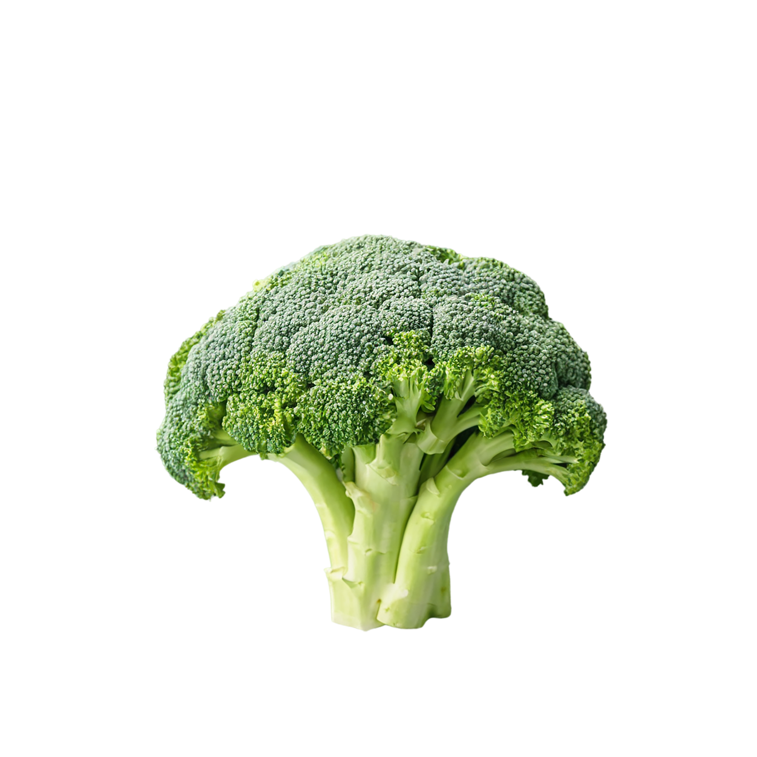 Broccoli vegetables isolated on transparent background #10693