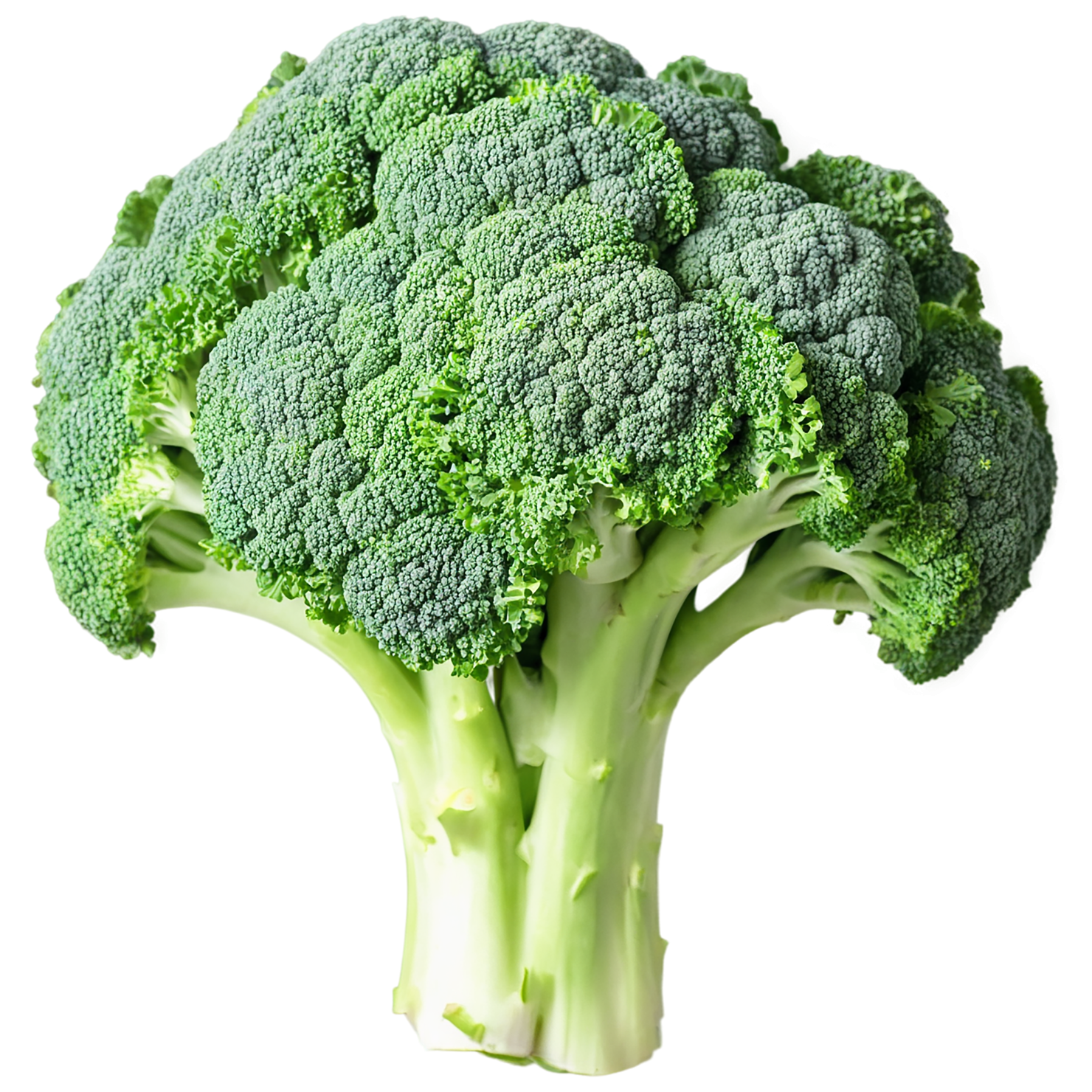 Broccoli vegetables isolated on transparent background #10705