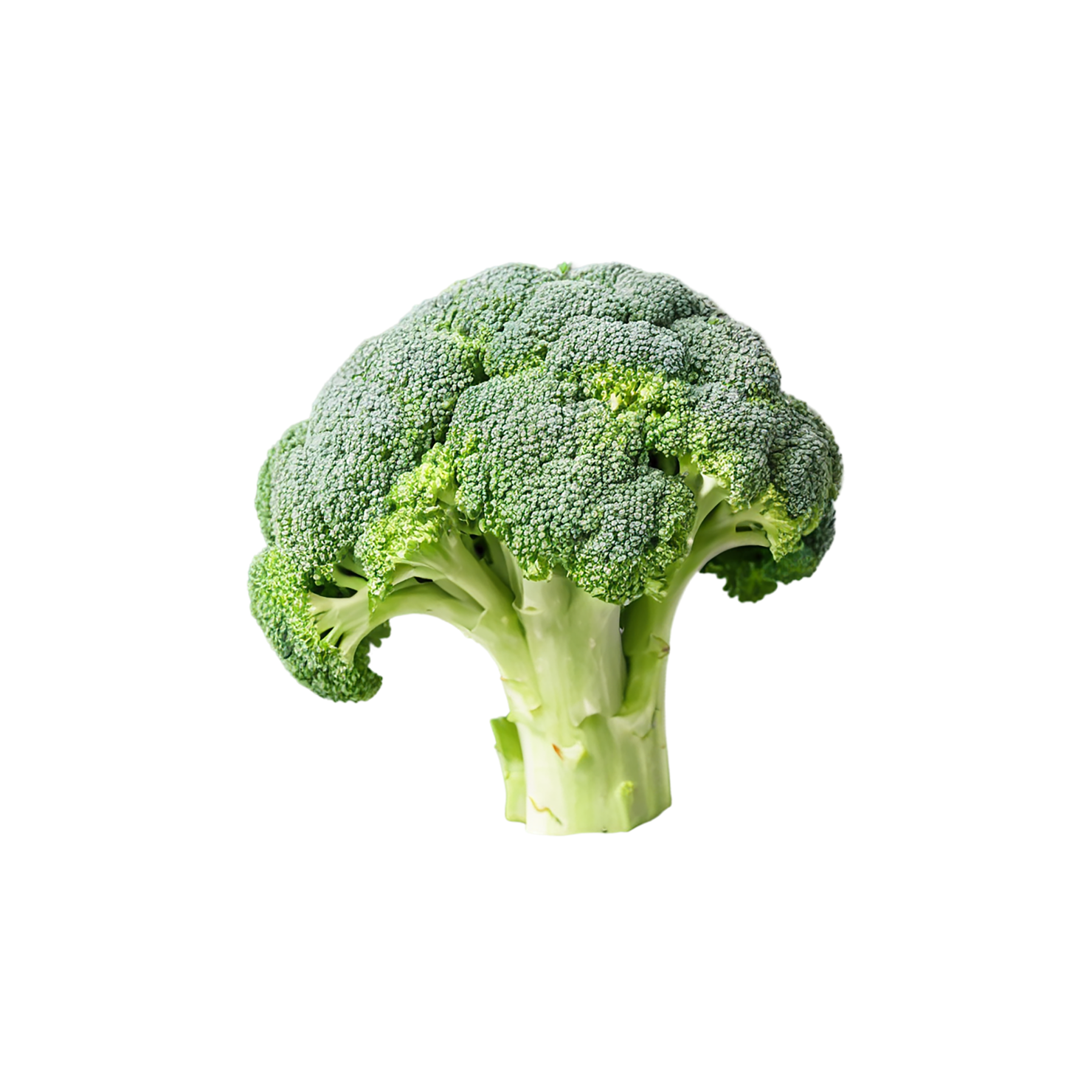 Broccoli vegetables isolated on transparent background #10740
