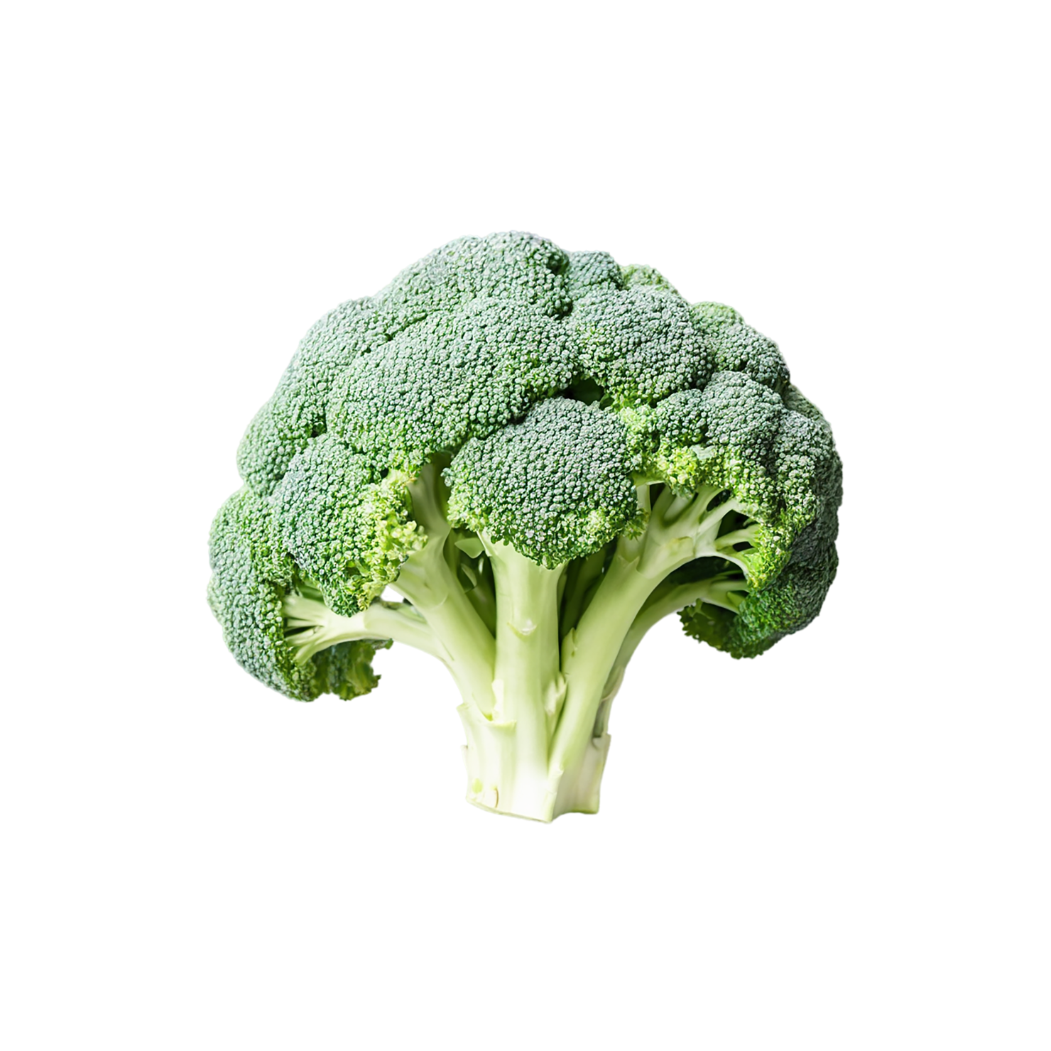 Broccoli vegetables isolated on transparent background #10746