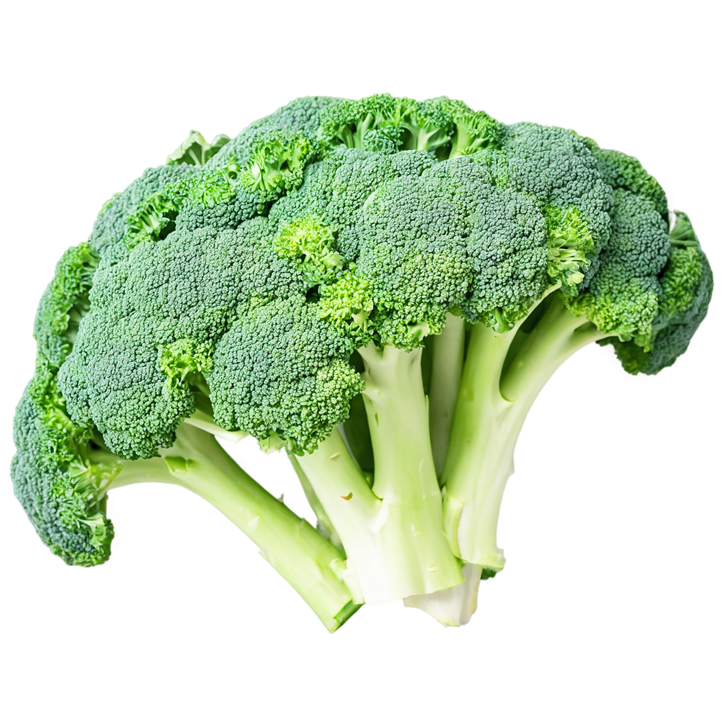 Broccoli vegetables isolated on transparent background #10751
