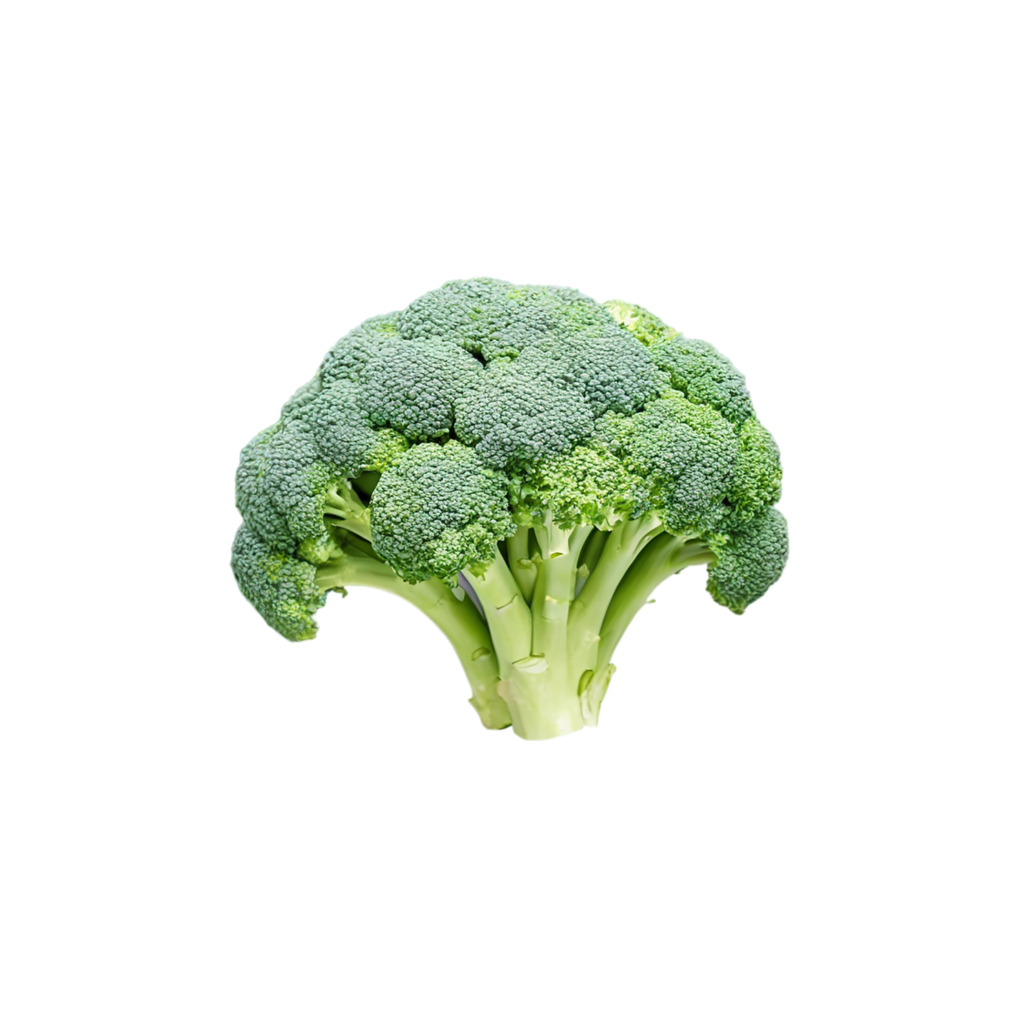 Broccoli vegetables isolated on transparent background #10755