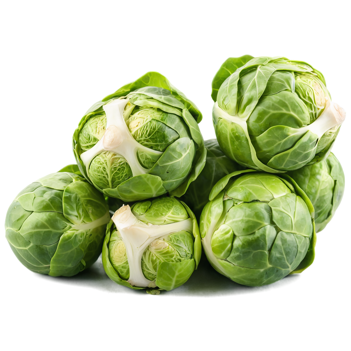 Brussels sprouts vegetables isolated on transparent background #10761