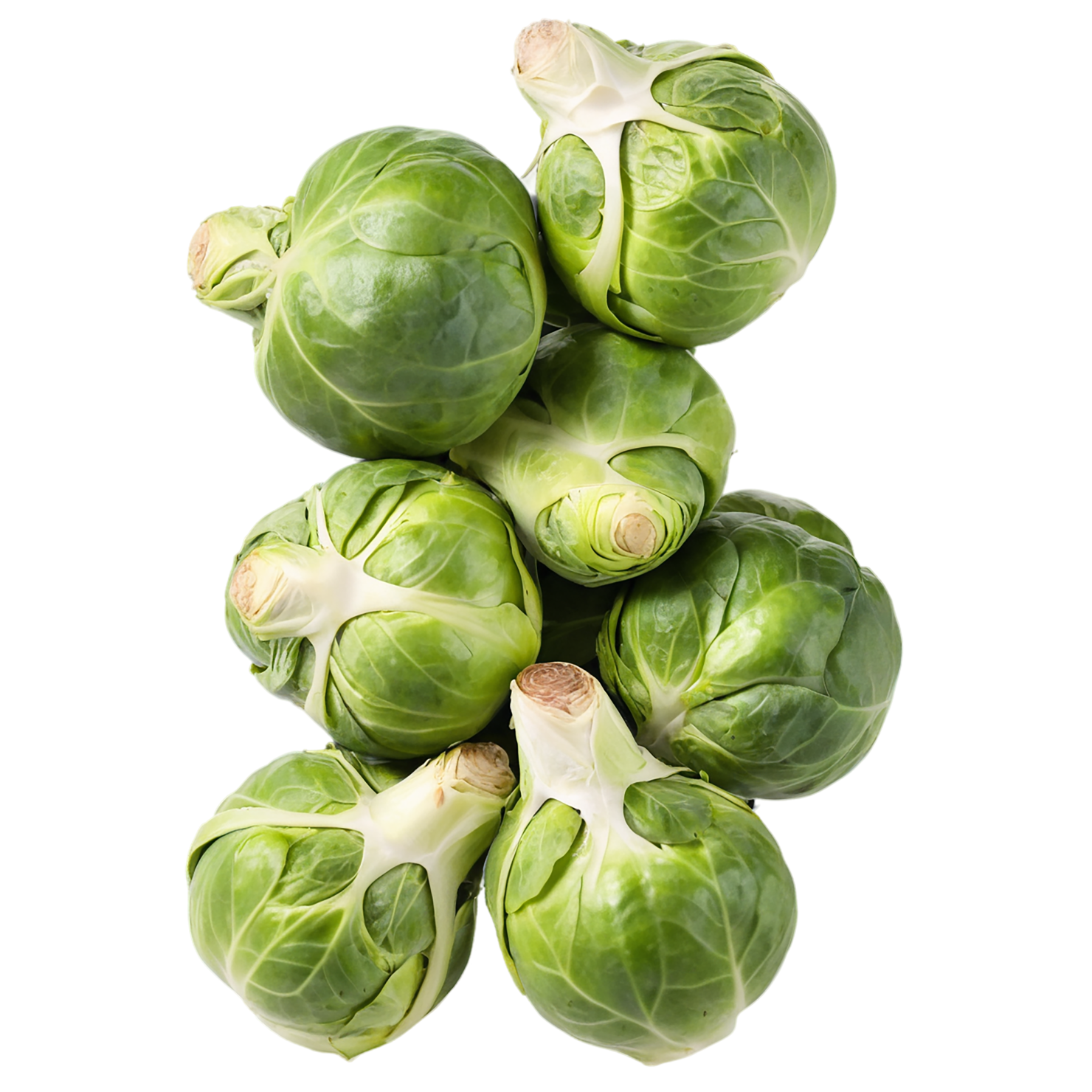 Brussels sprouts vegetables isolated on transparent background #10764