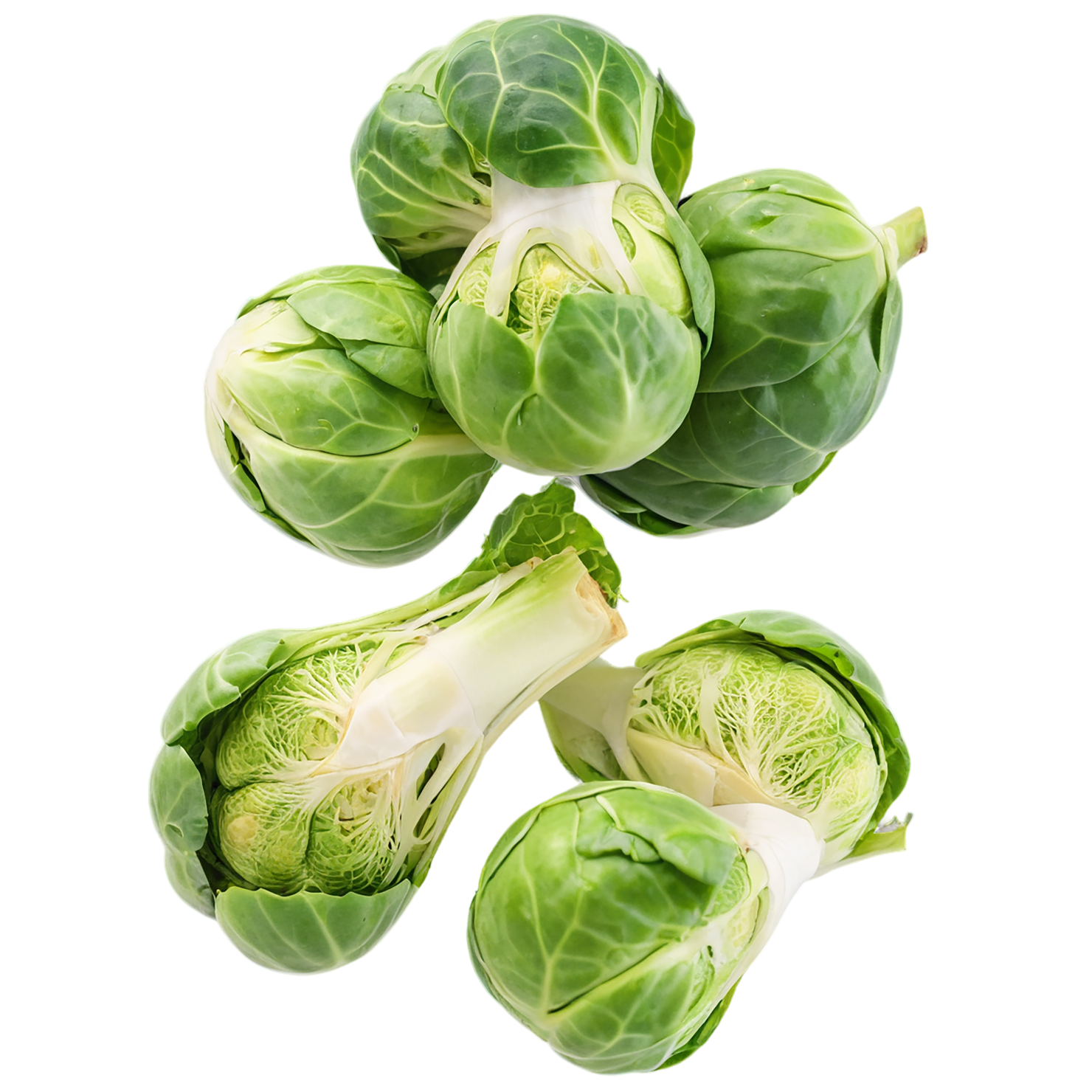 Brussels sprouts vegetables isolated on transparent background #10776