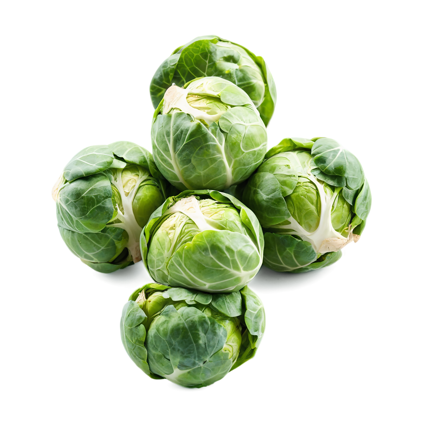 Brussels sprouts vegetables isolated on transparent background #10784