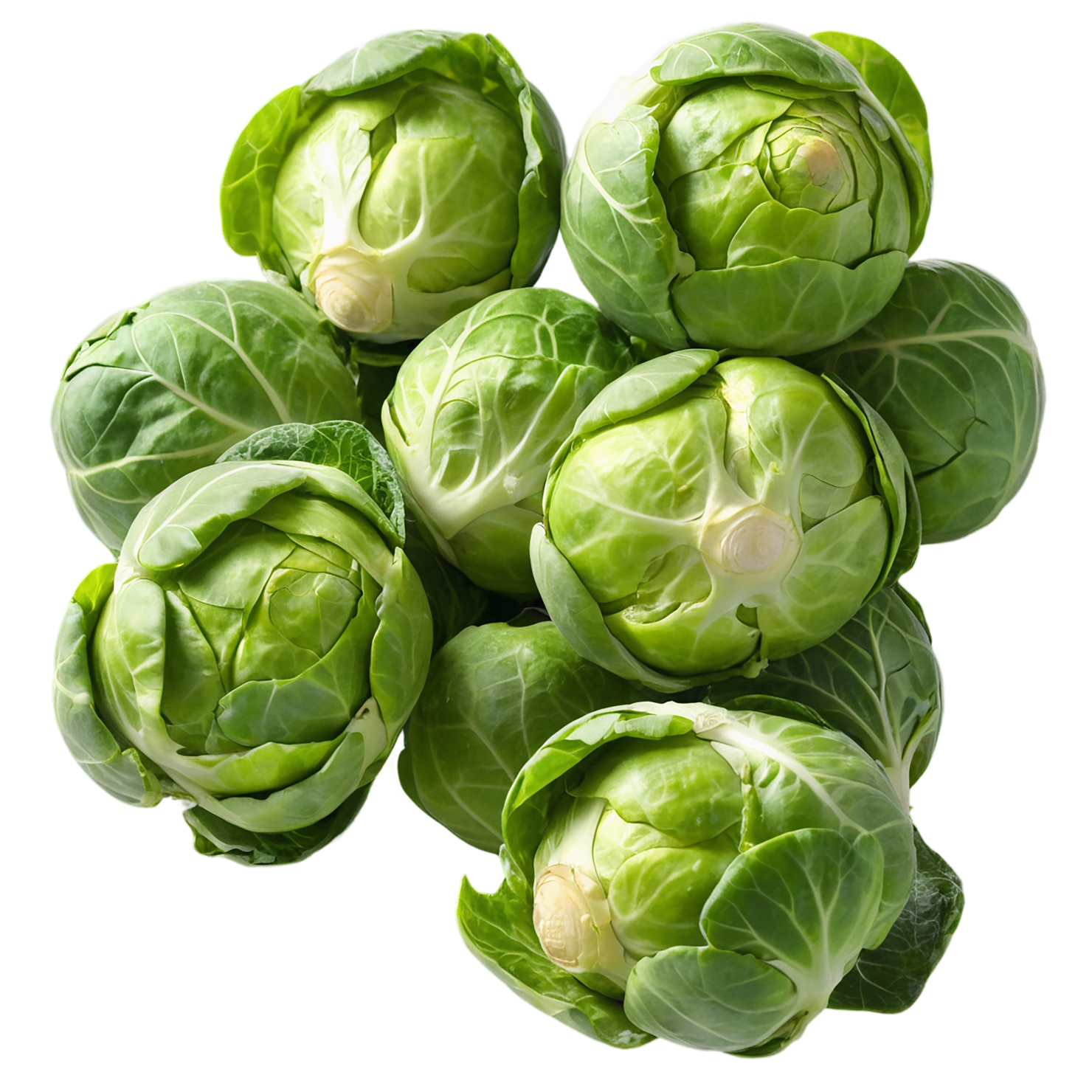 Brussels sprouts vegetables isolated on transparent background #10786