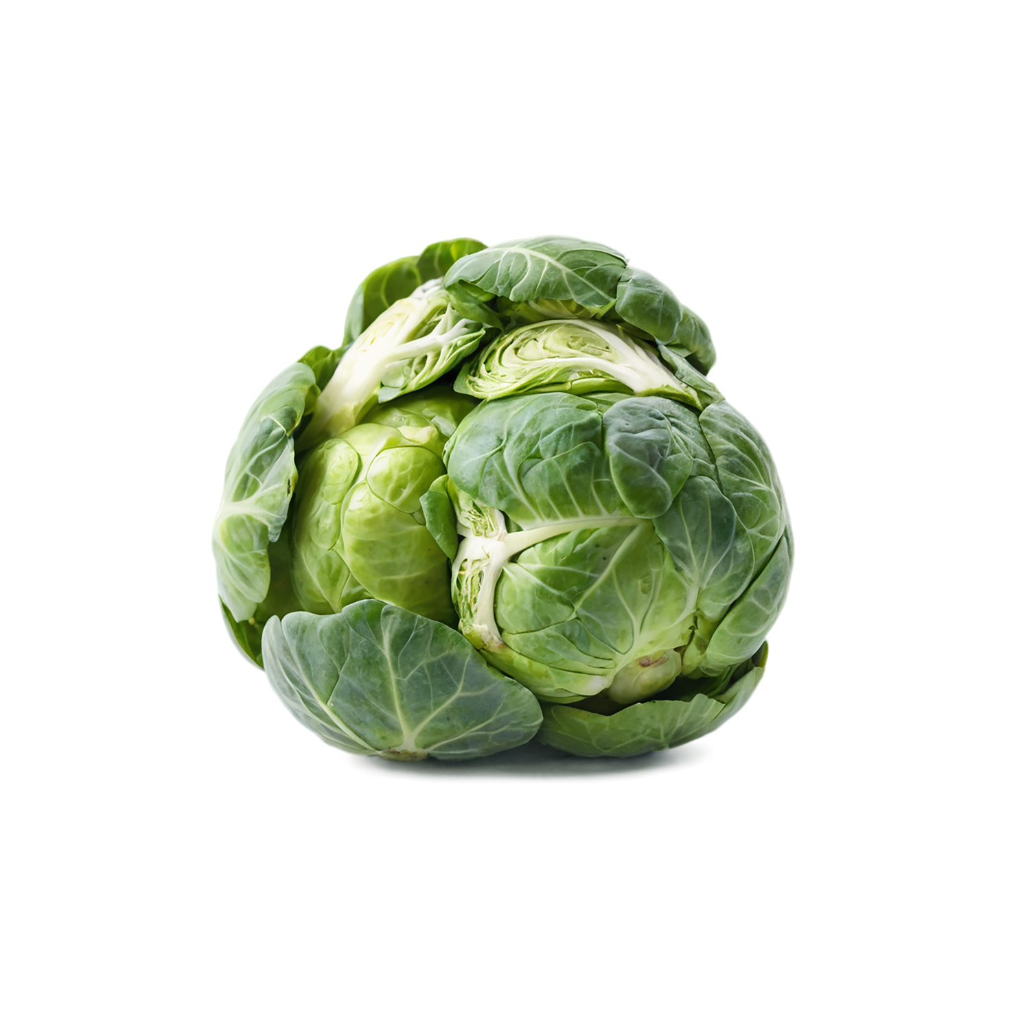 Brussels sprouts vegetables isolated on transparent background #10804