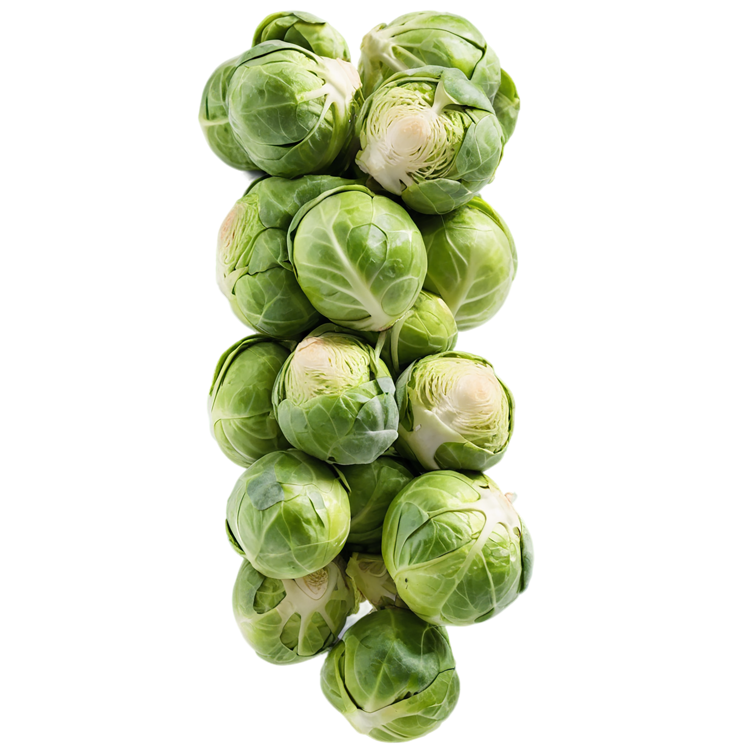 Brussels sprouts vegetables isolated on transparent background #10805