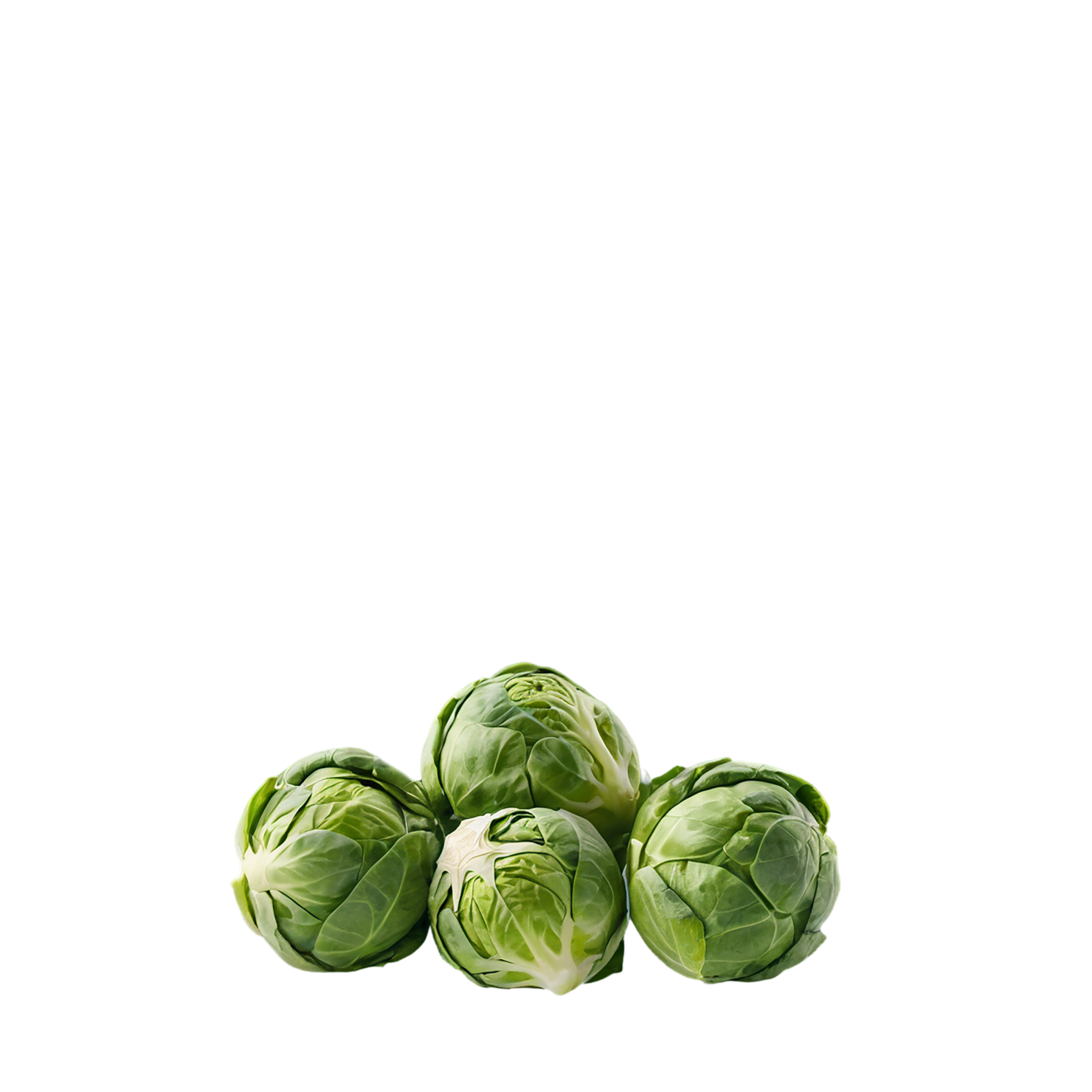 Brussels sprouts vegetables isolated on transparent background #10807