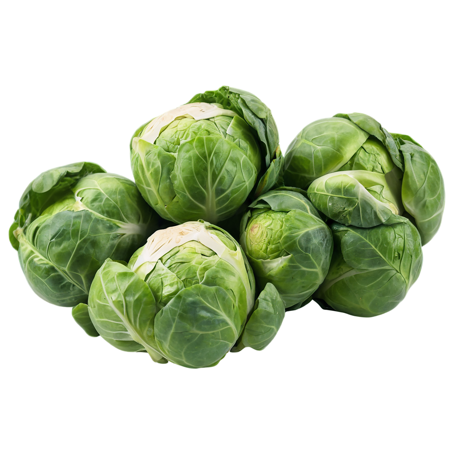 Brussels sprouts vegetables isolated on transparent background #10812