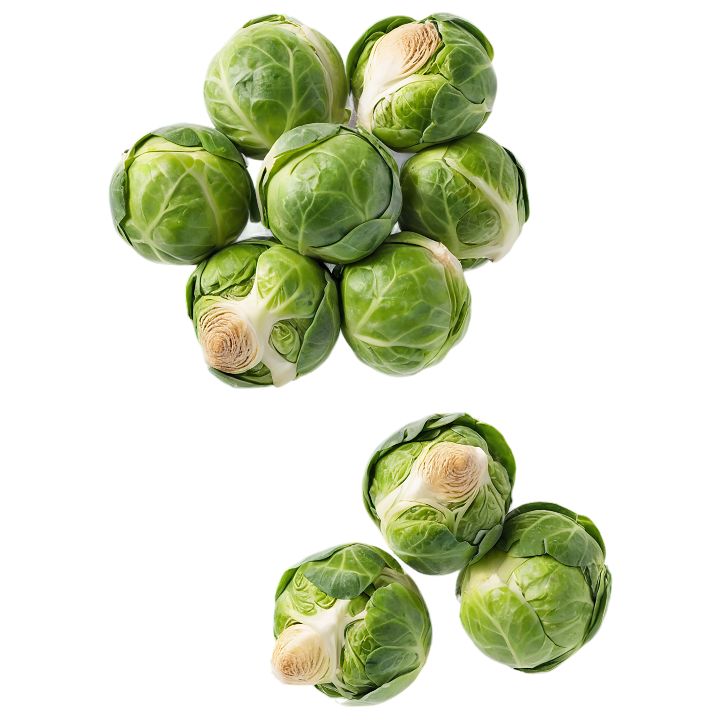 Brussels sprouts vegetables isolated on transparent background #10835