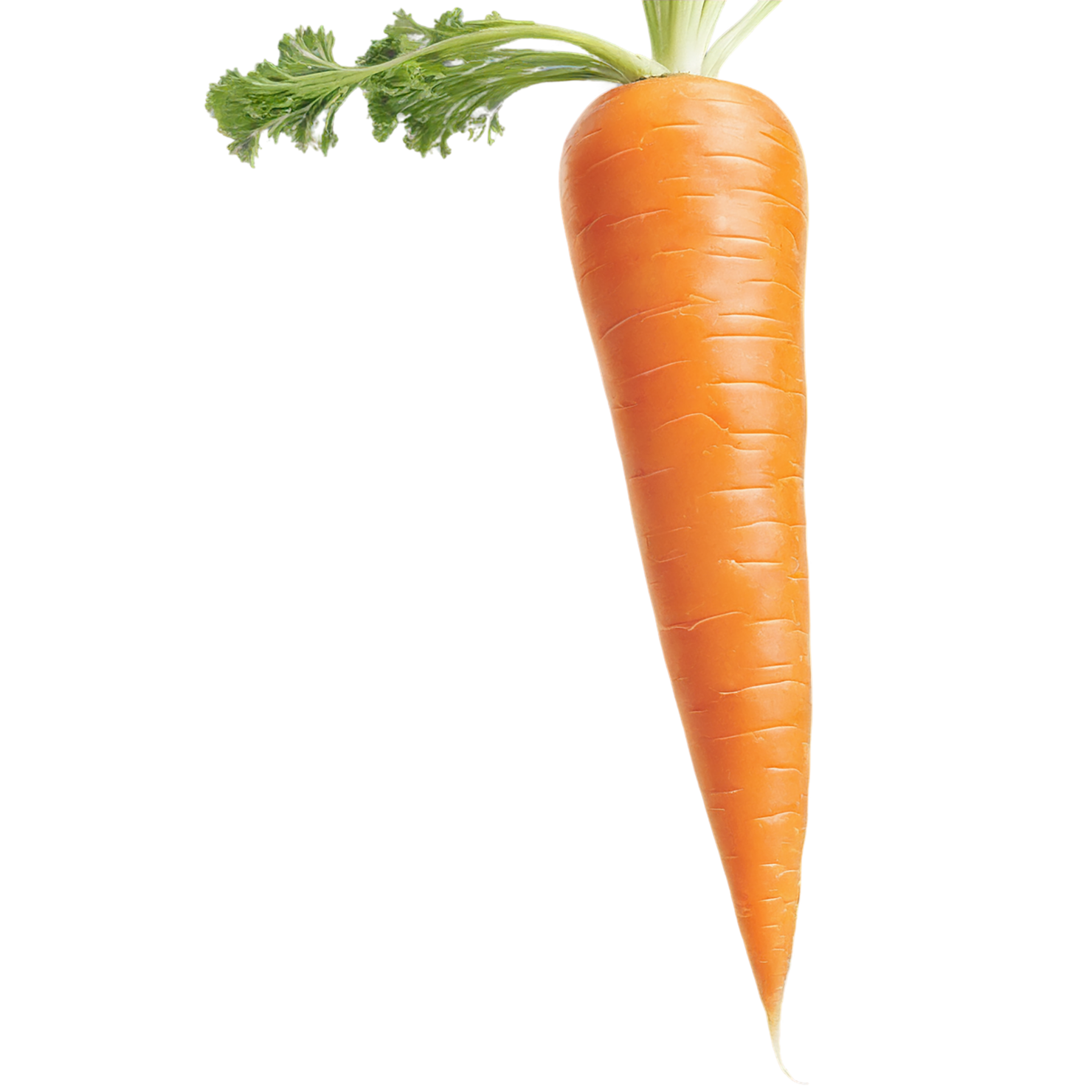 Carrot vegetables isolated on transparent background #10859
