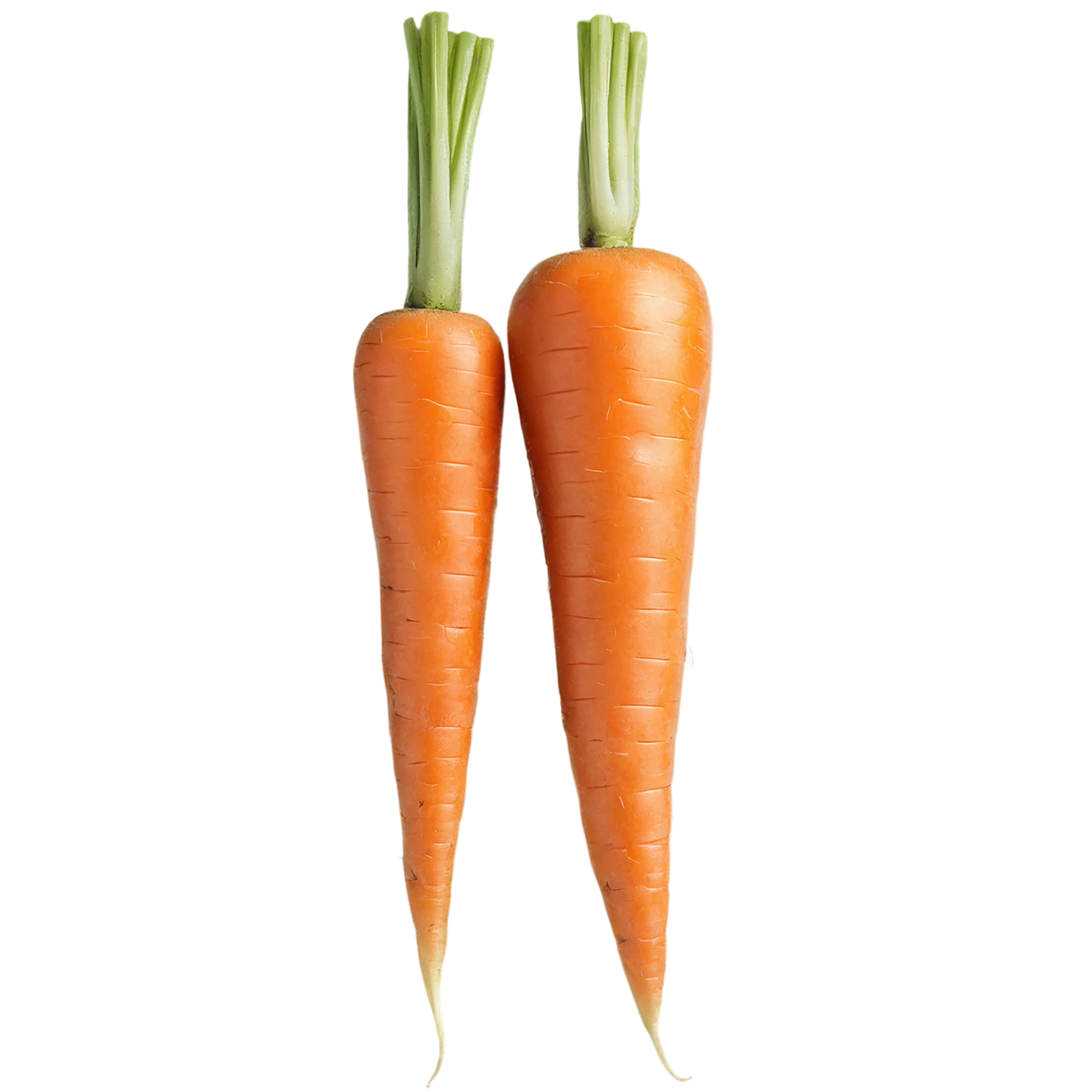 Carrot vegetables isolated on transparent background #10860