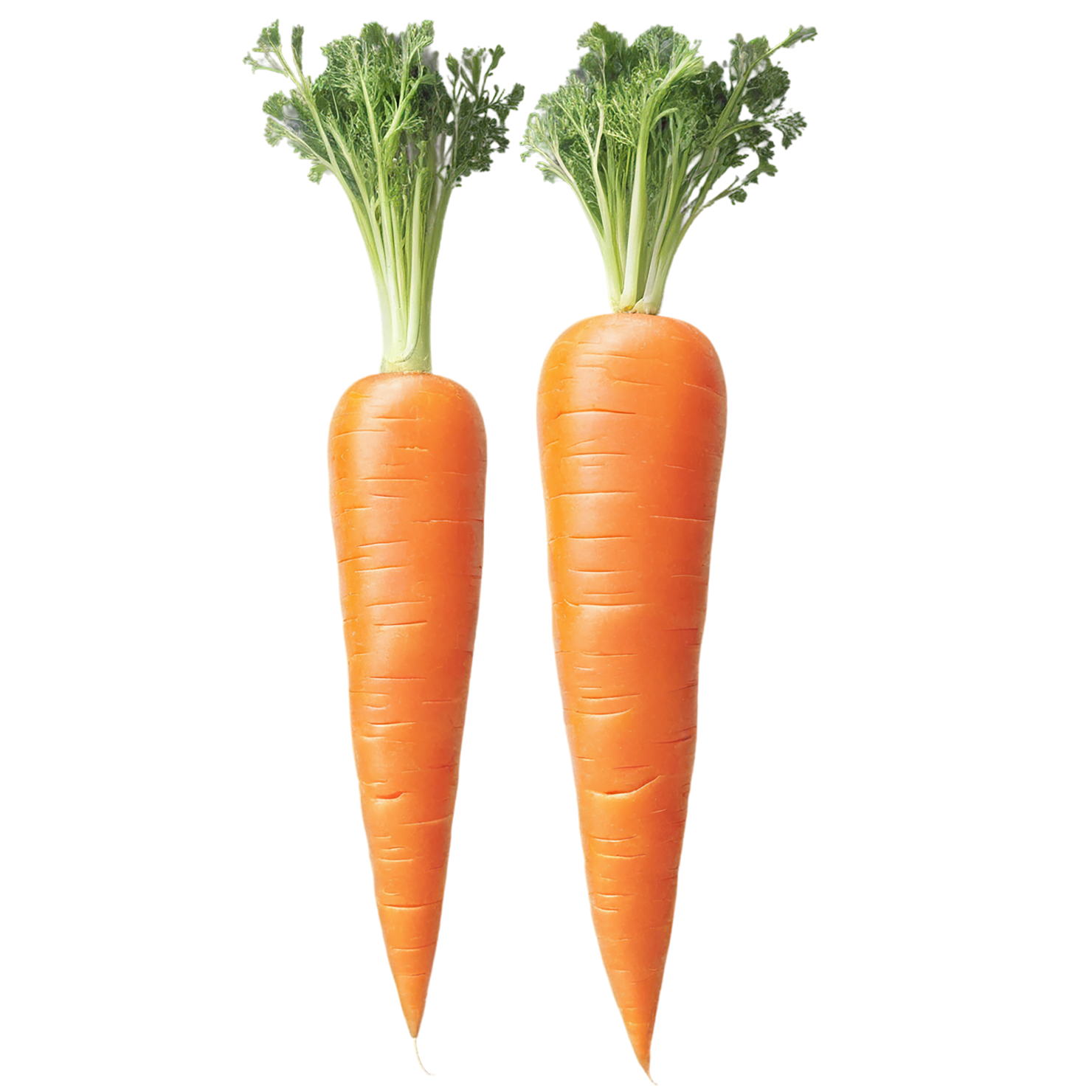 Carrot vegetables isolated on transparent background #10861