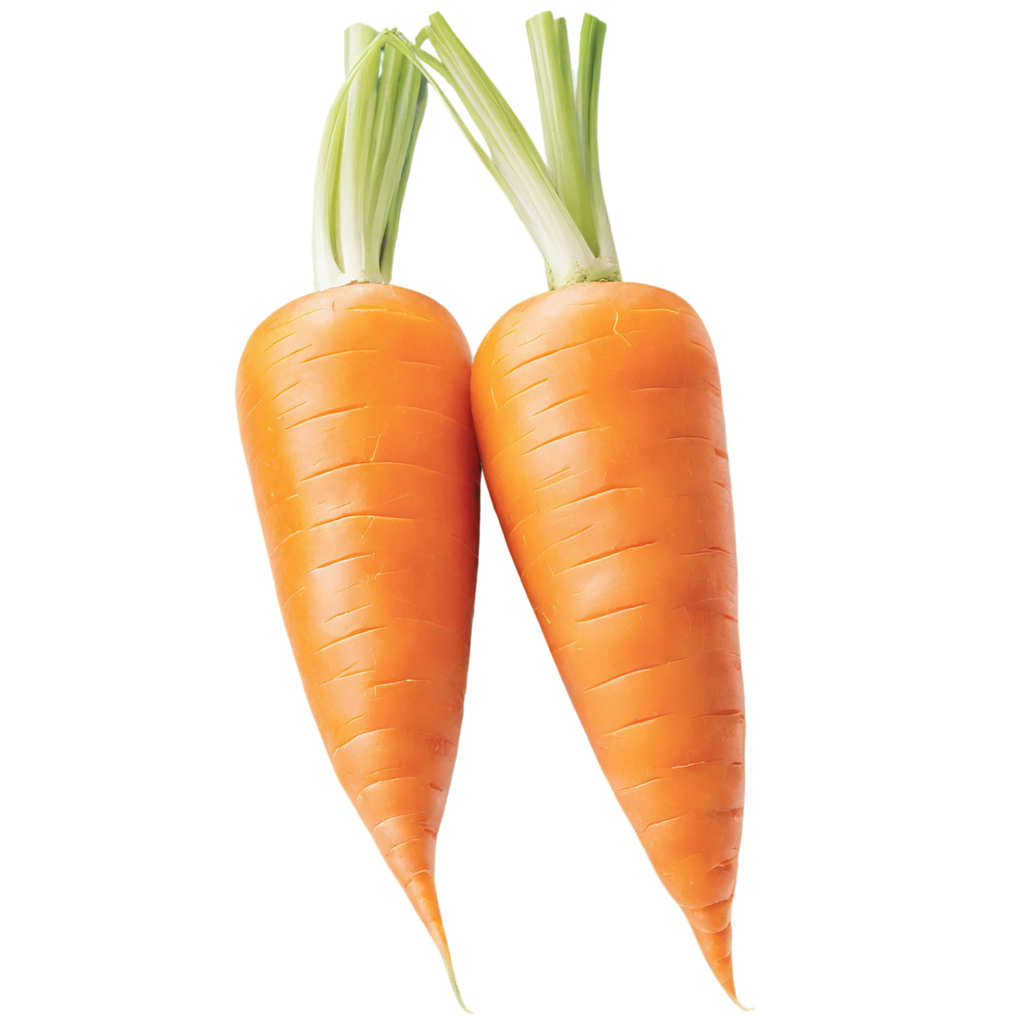 Carrot vegetables isolated on transparent background #10865