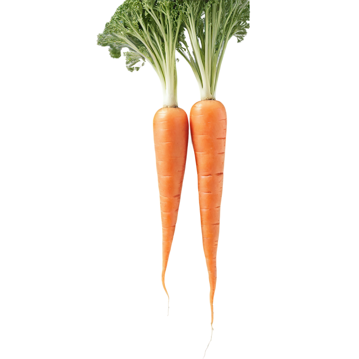 Carrot vegetables isolated on transparent background #10870