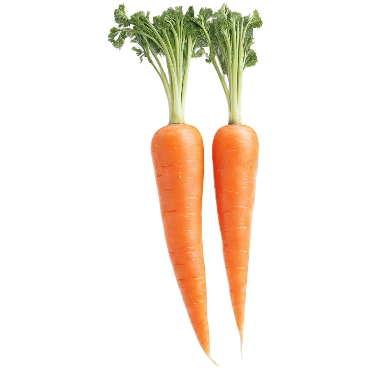 Carrot vegetables isolated on transparent background #10871