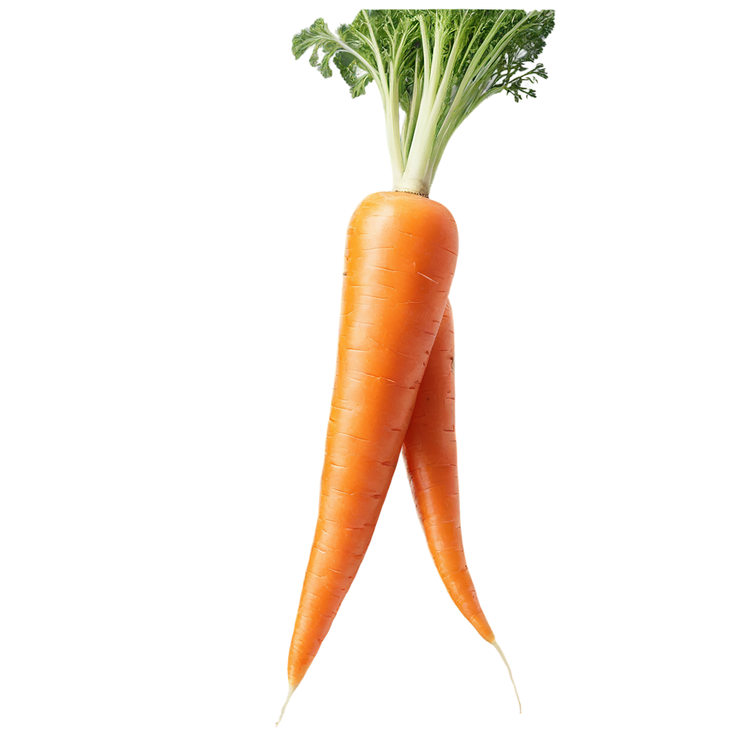Carrot vegetables isolated on transparent background #10872