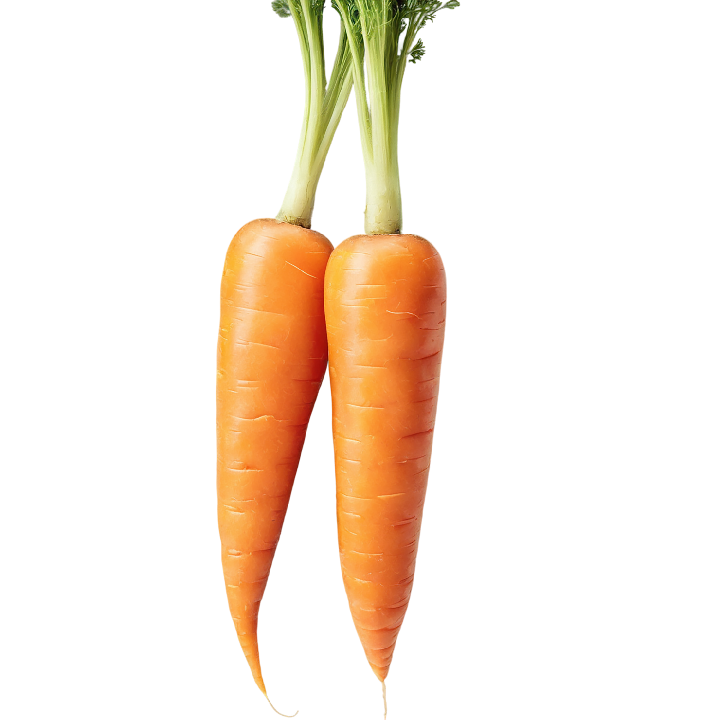 Carrot vegetables isolated on transparent background #10874