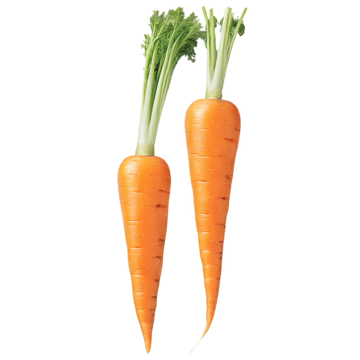 Carrot vegetables isolated on transparent background #10876