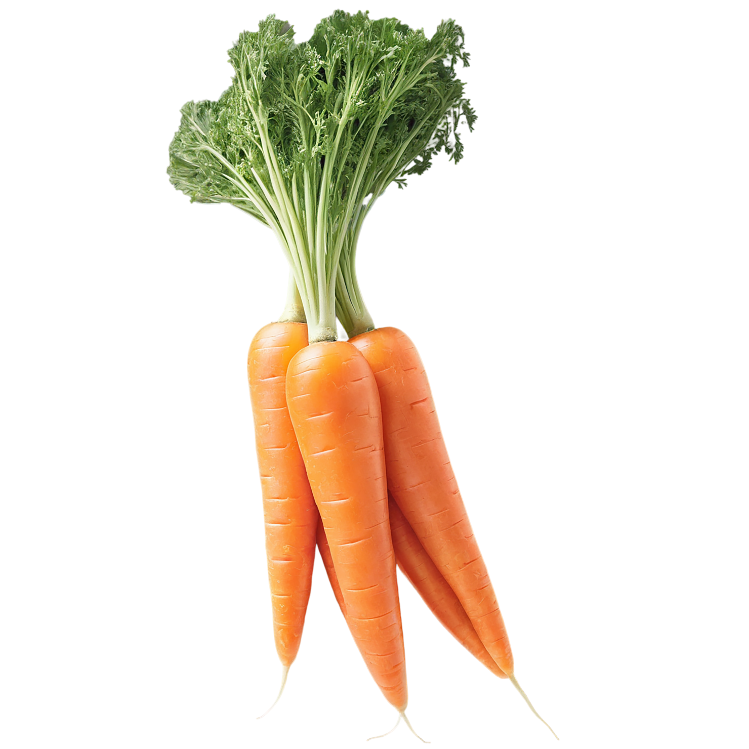 Carrot vegetables isolated on transparent background #10877