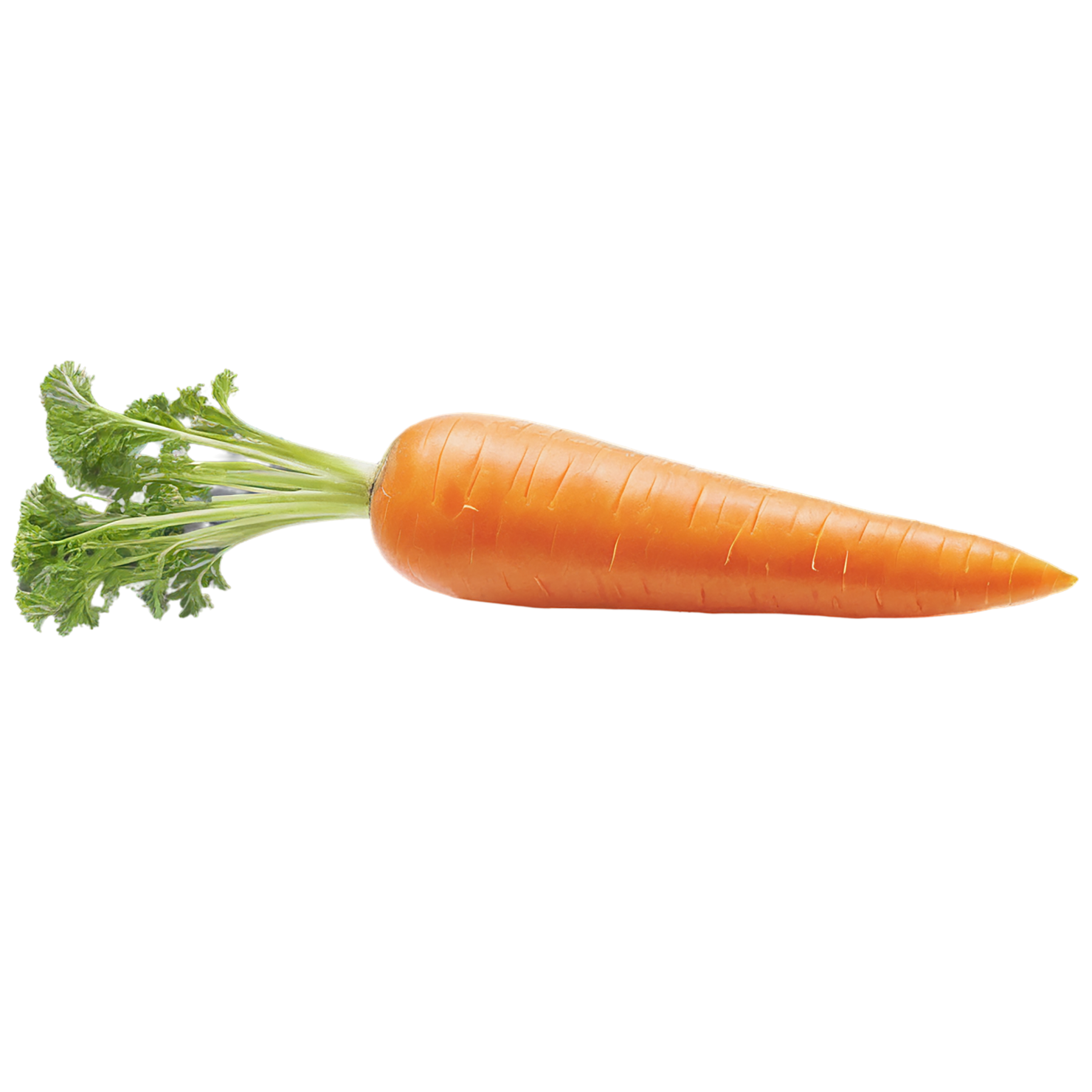 Carrot vegetables isolated on transparent background #10878