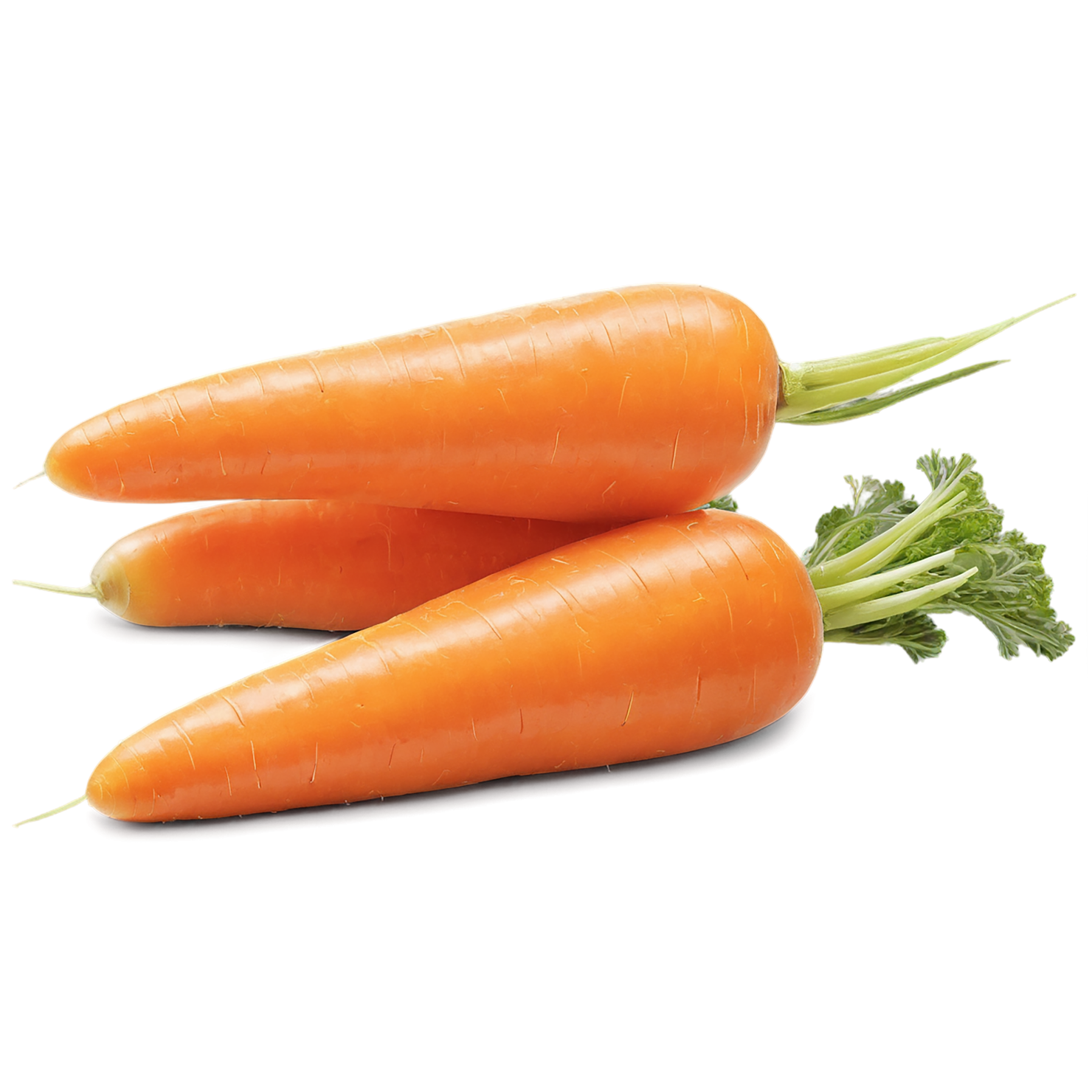 Carrot vegetables isolated on transparent background #10883