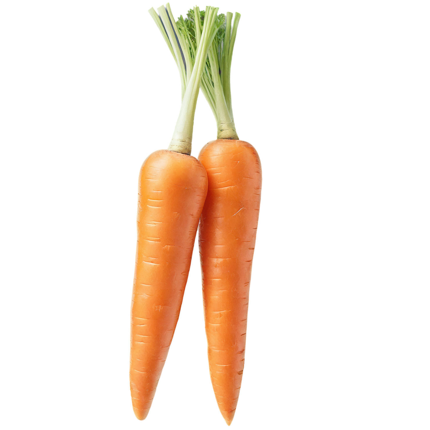 Carrot vegetables isolated on transparent background #10885