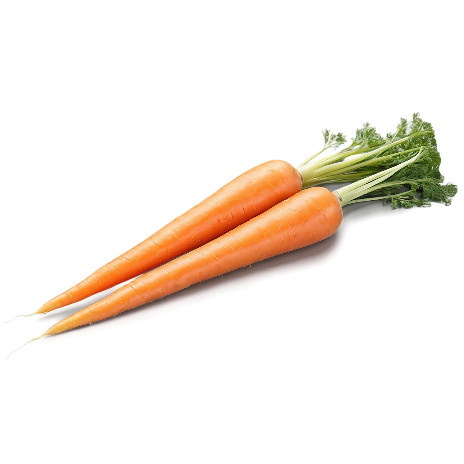 Carrot vegetables isolated on transparent background #10890