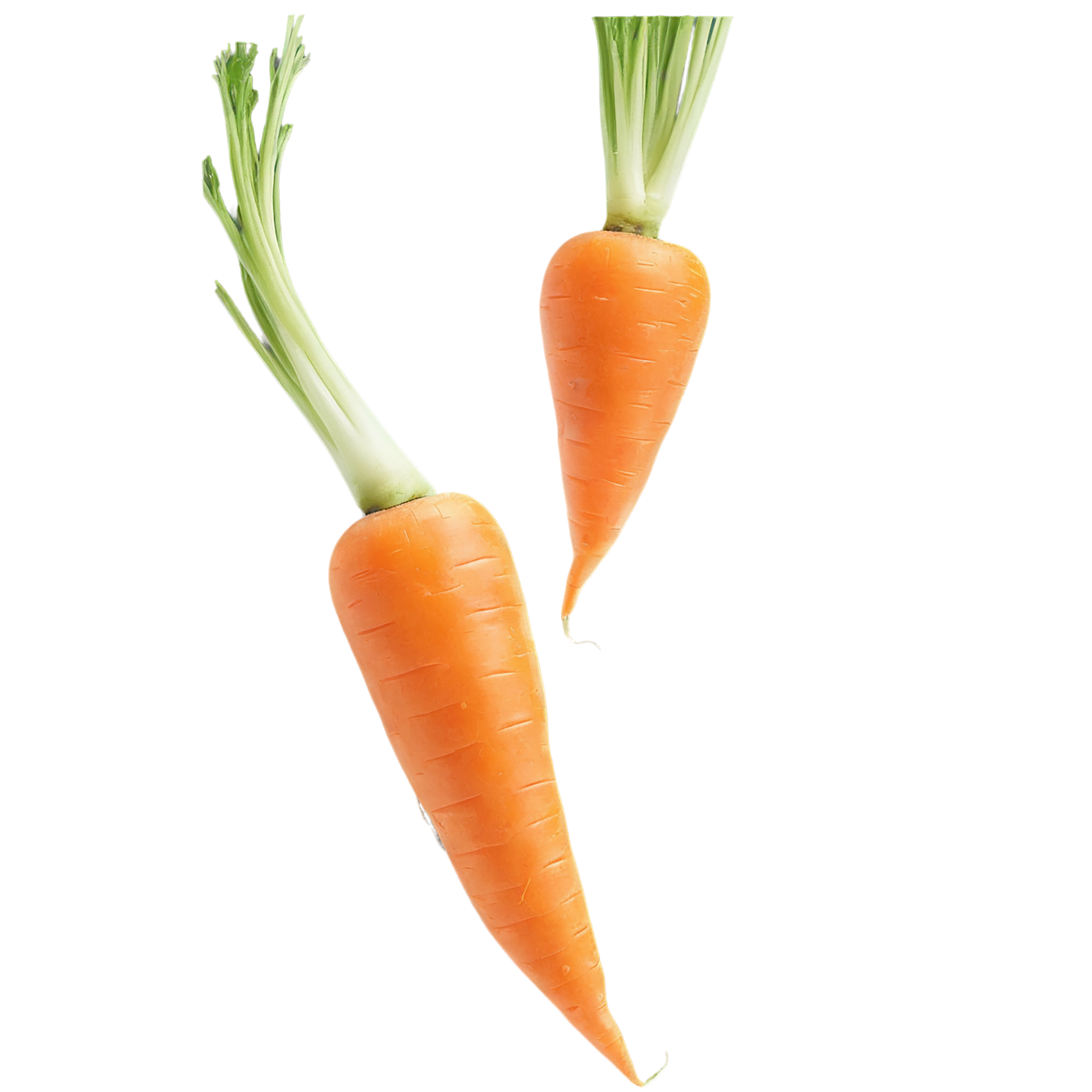 Carrot vegetables isolated on transparent background #10892