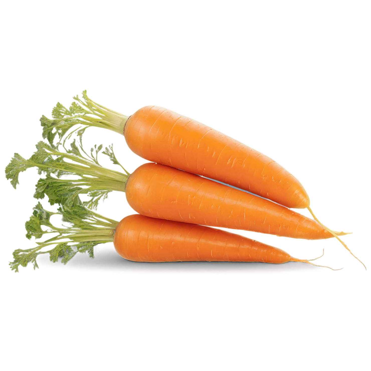Carrot vegetables isolated on transparent background #10895