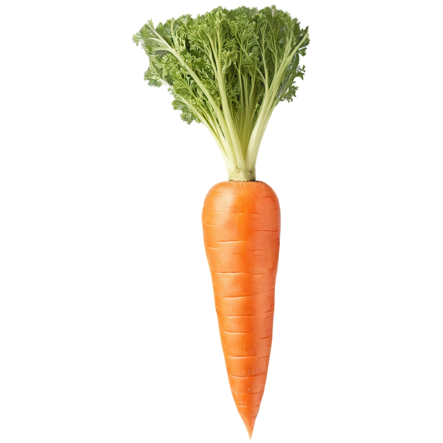 Carrot vegetables isolated on transparent background #10897
