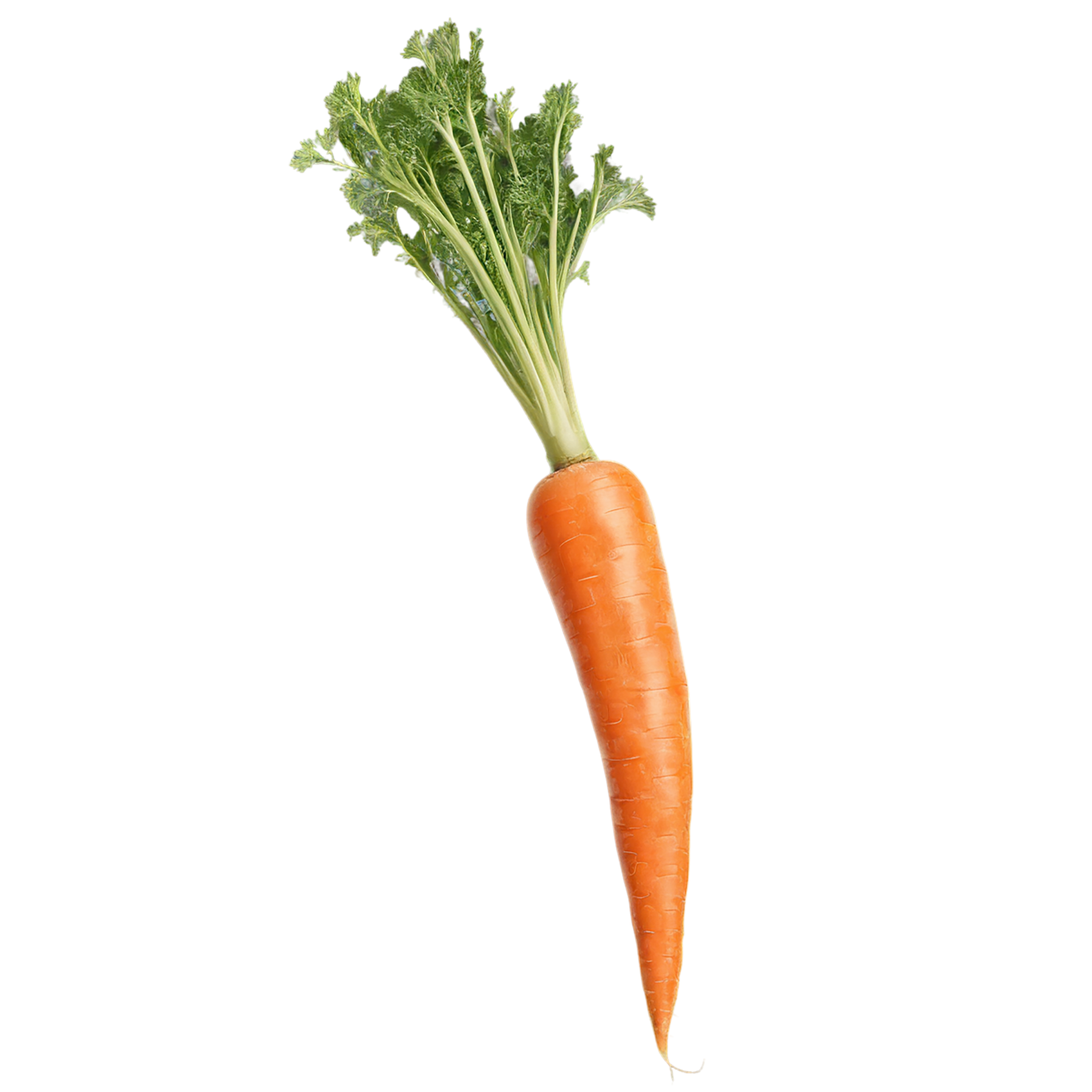 Carrot vegetables isolated on transparent background #10898