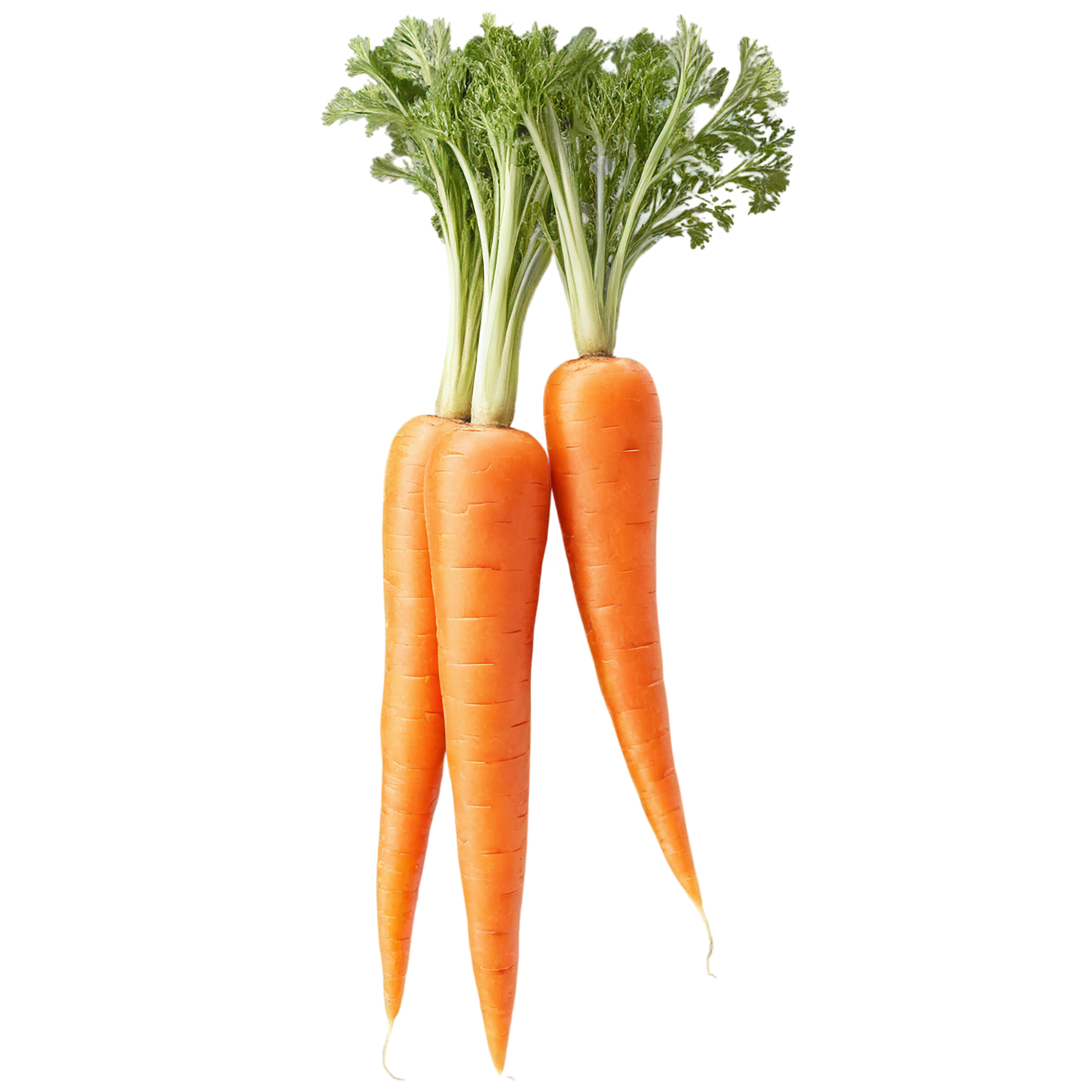 Carrot vegetables isolated on transparent background #10900