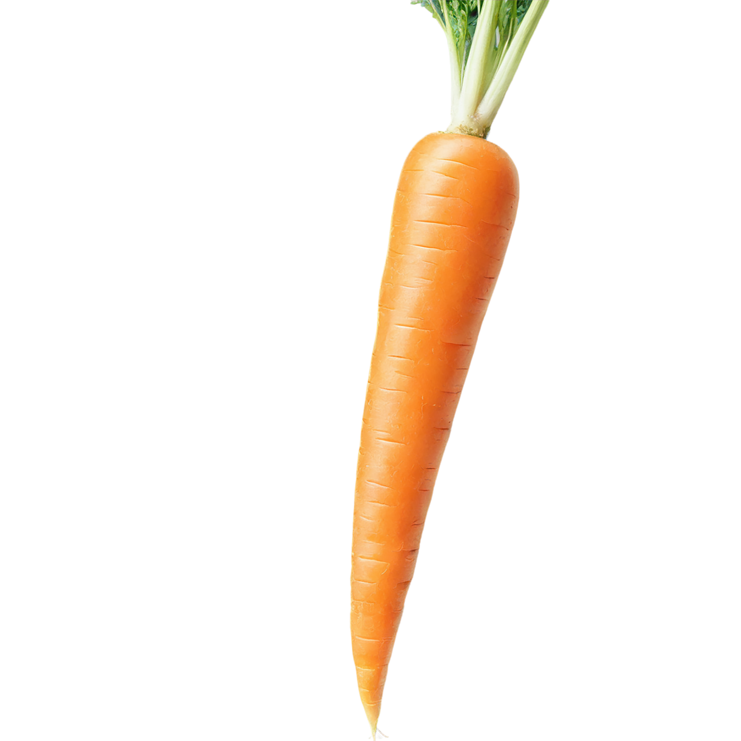Carrot vegetables isolated on transparent background #10905
