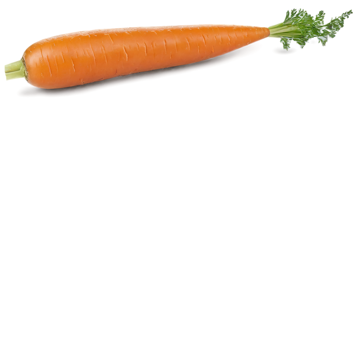 Carrot vegetables isolated on transparent background #10908