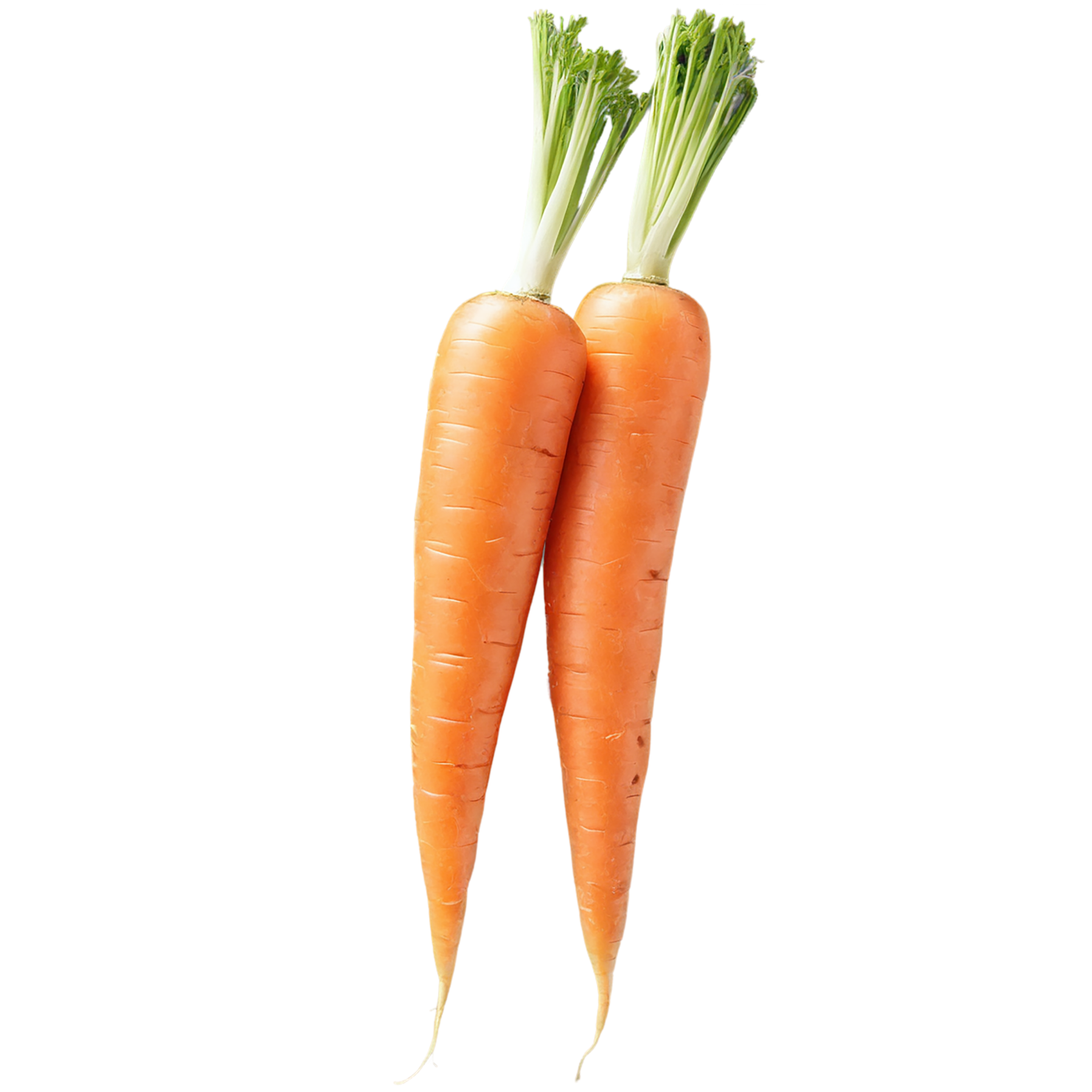 Carrot vegetables isolated on transparent background #10910