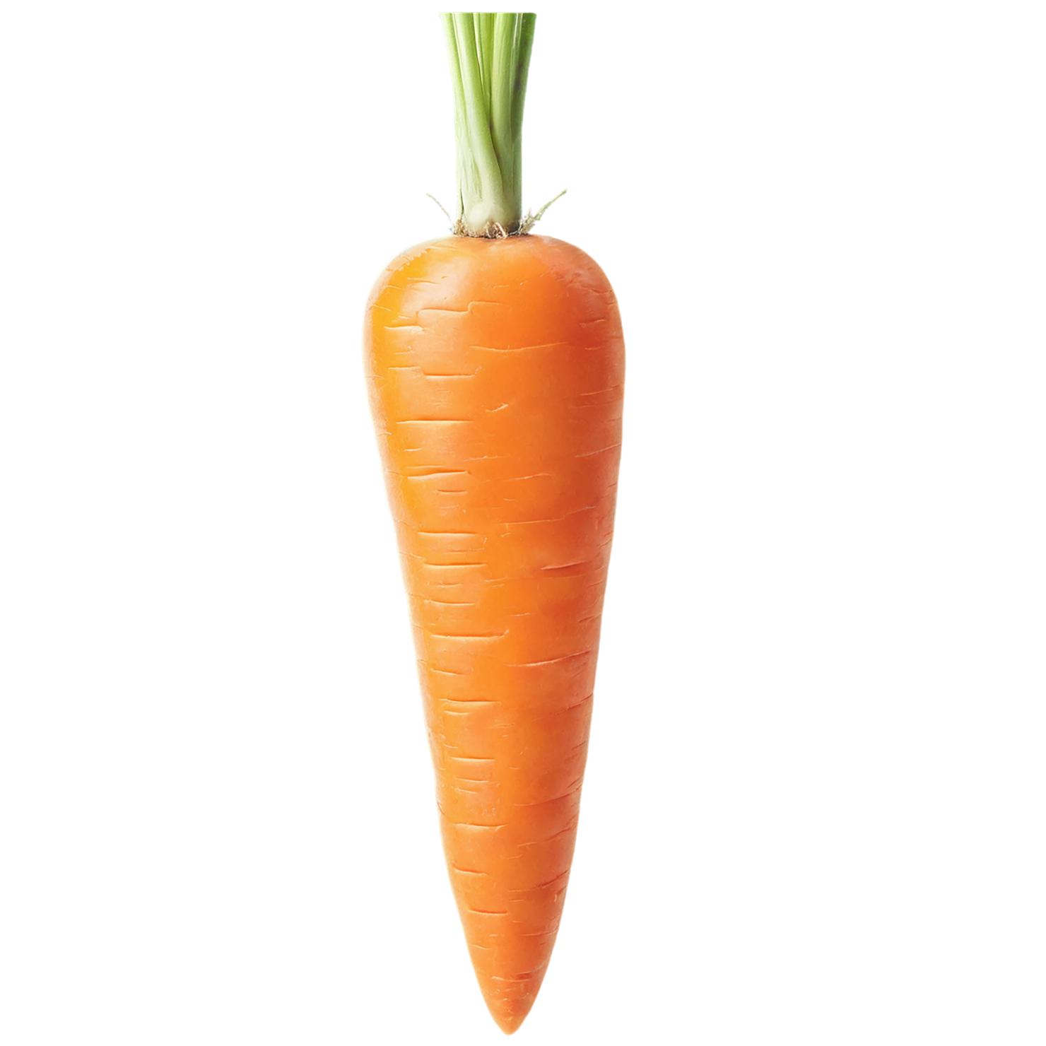Carrot vegetables isolated on transparent background #10912