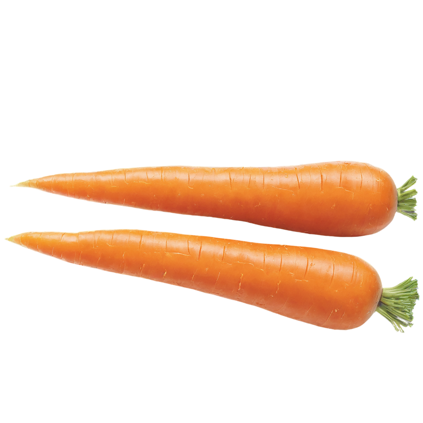 Carrot vegetables isolated on transparent background #10913
